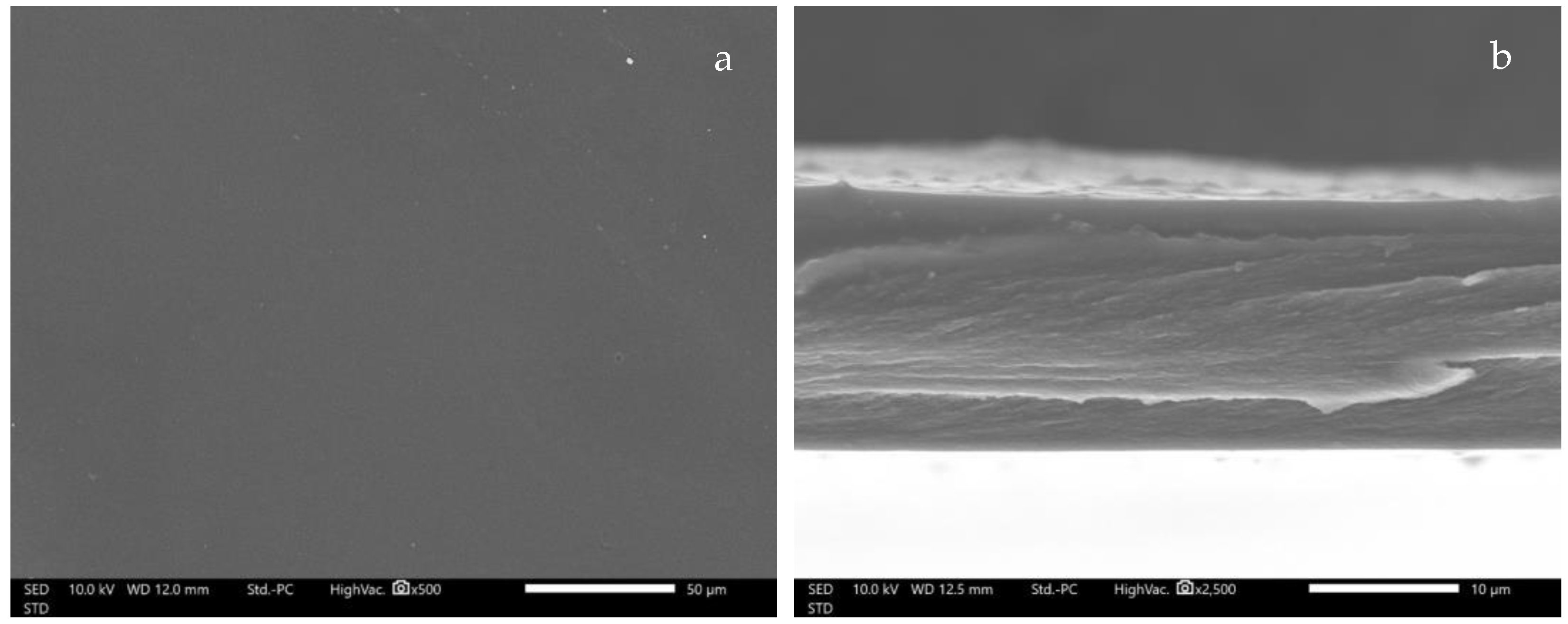 Polymers 14 01736 g006a