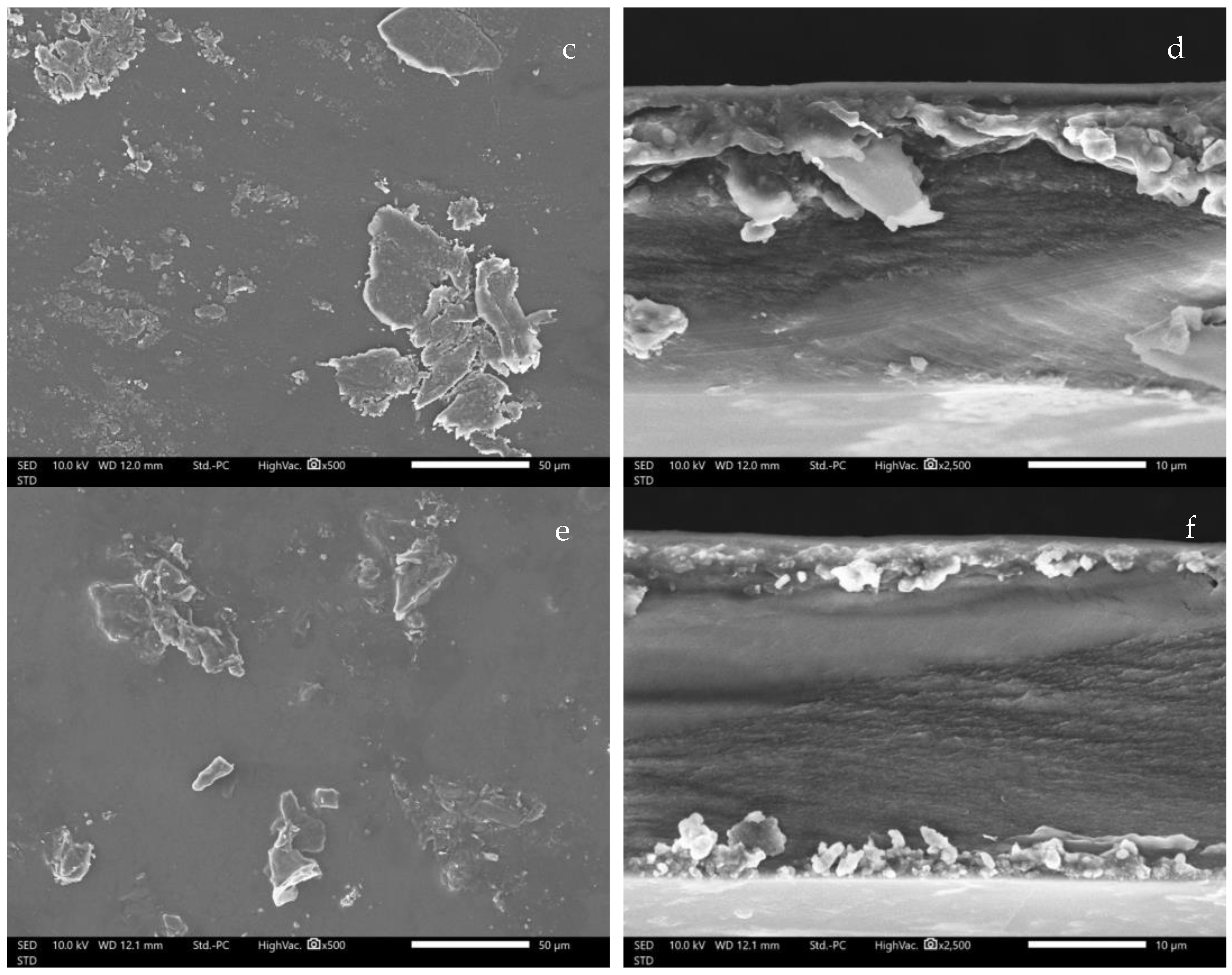 Polymers 14 01736 g006b