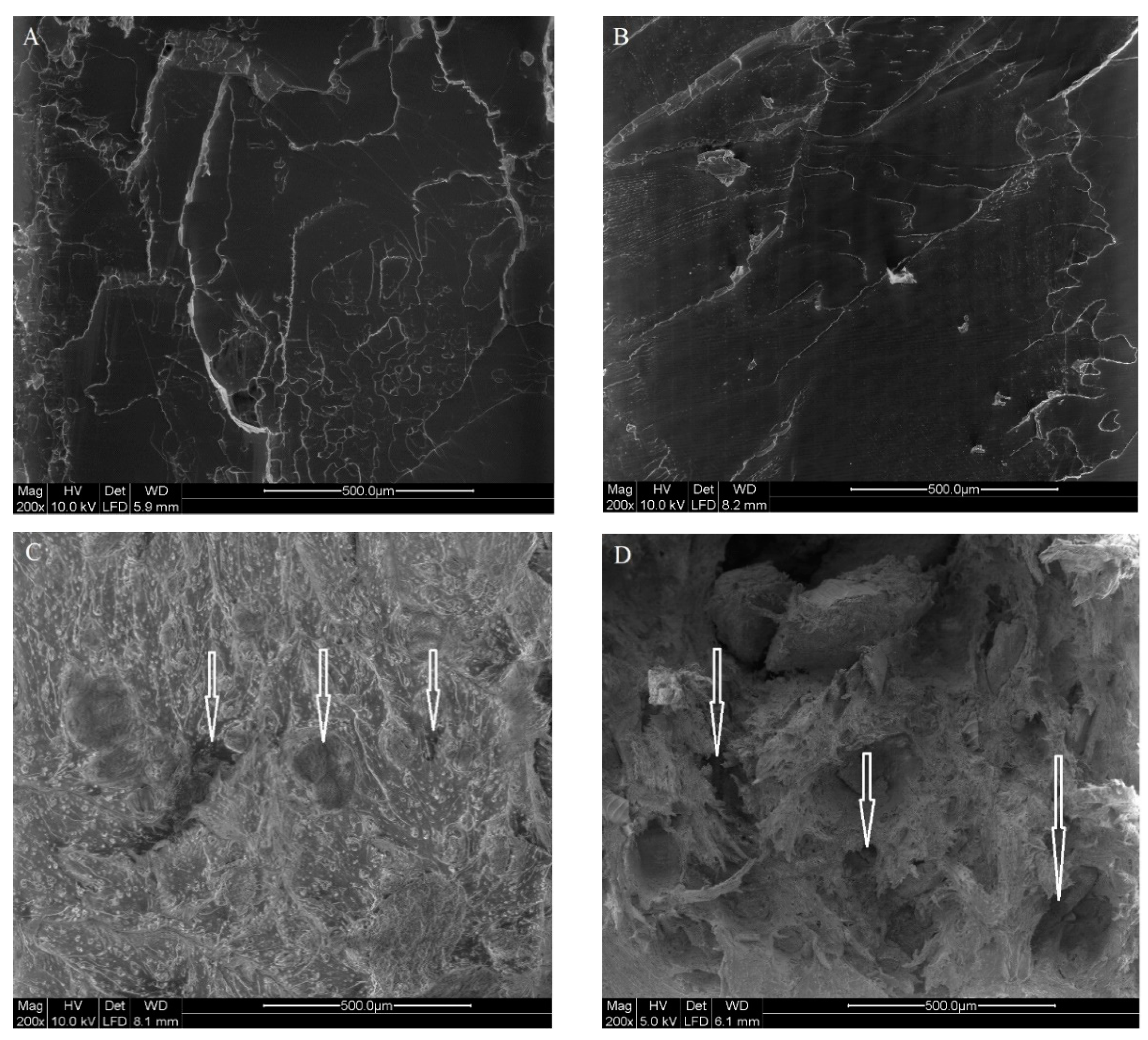 Polymers 14 01738 g005