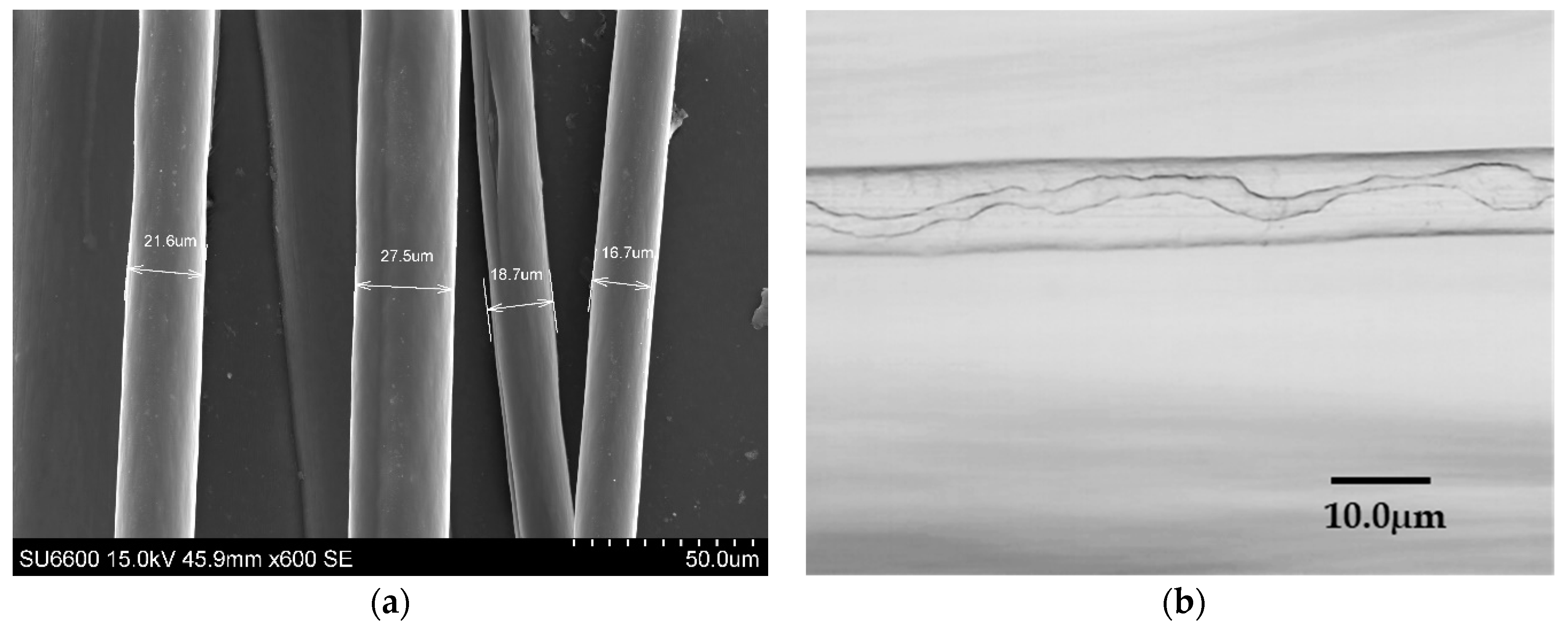 Polymers 14 01739 g004 Polymers 14 01739 g004