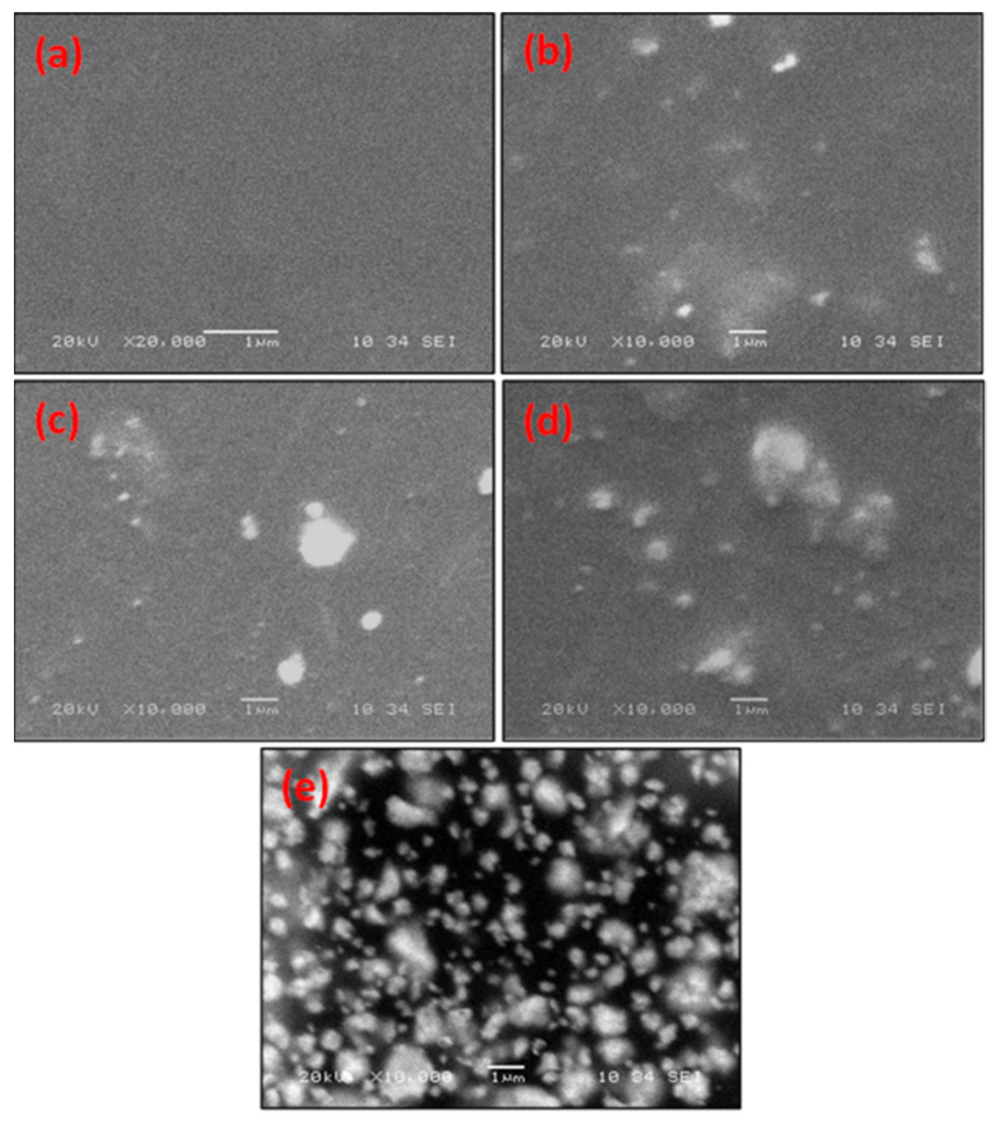 Polymers 14 01741 g004
