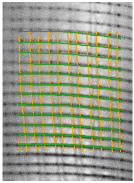 Polymers 14 01742 g007