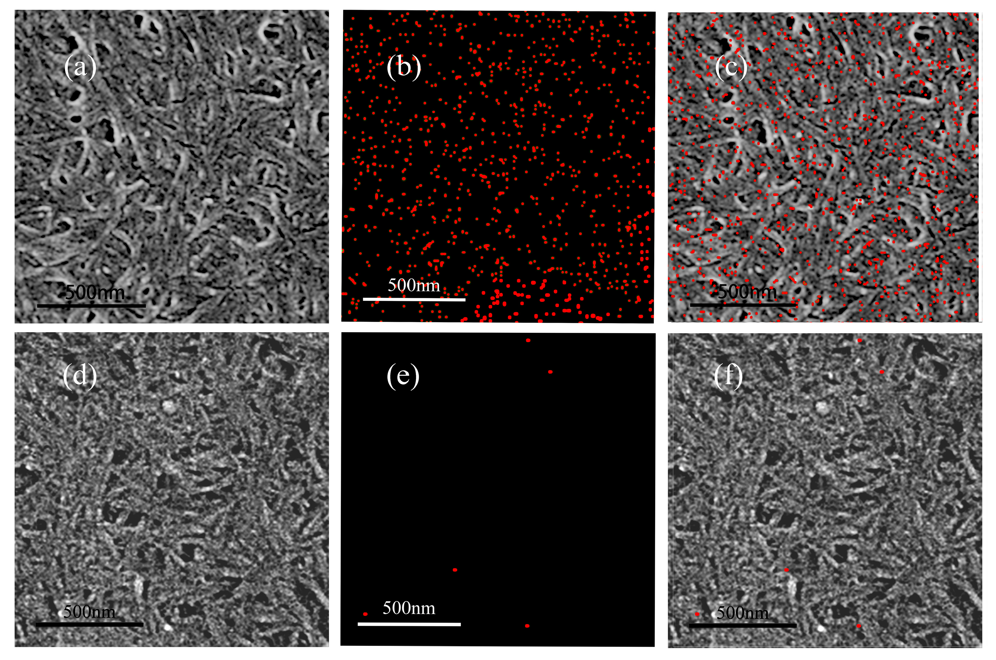 Polymers 14 01746 g003 Polymers 14 01746 g003