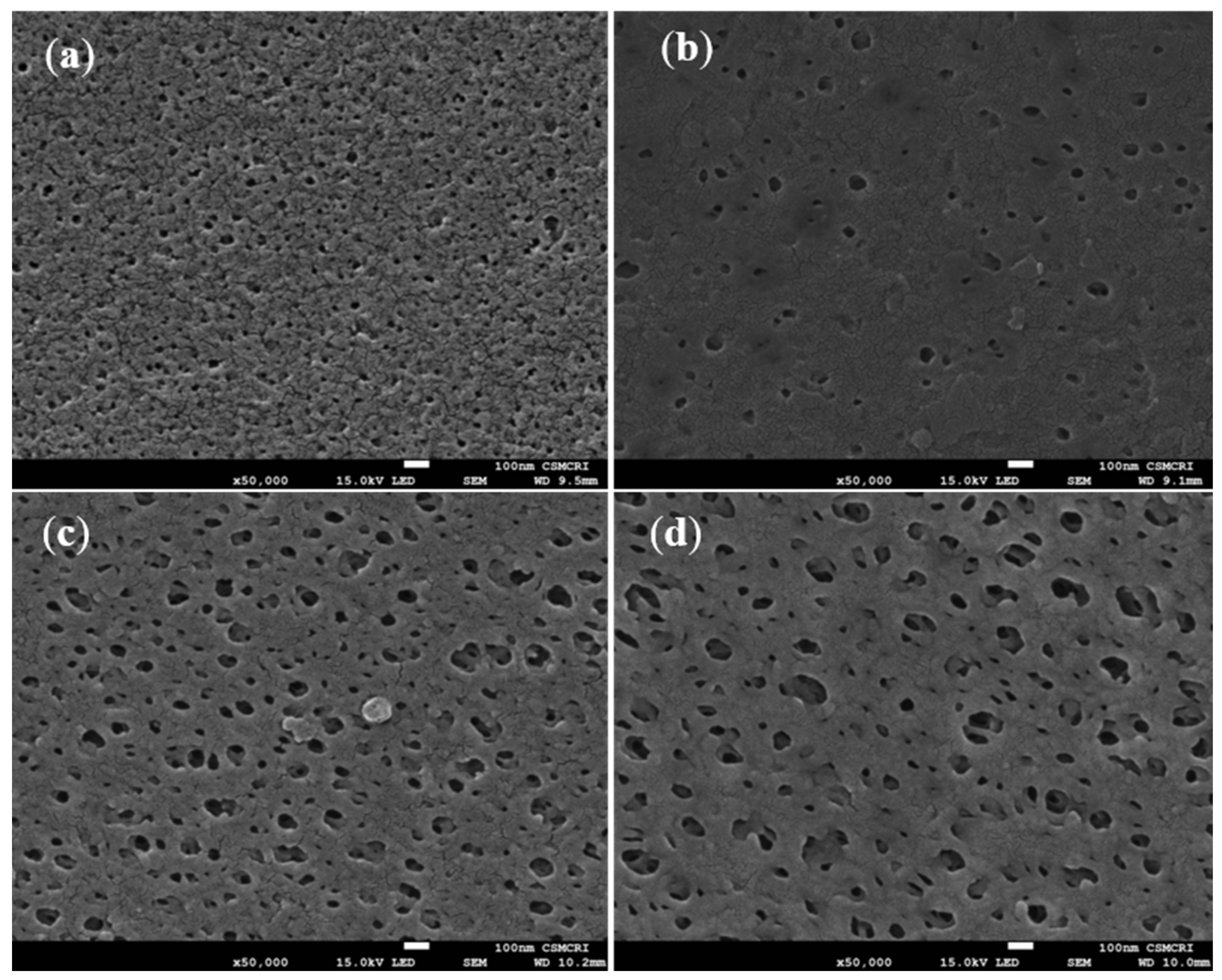 Polymers 14 01750 g007 Polymers 14 01750 g007