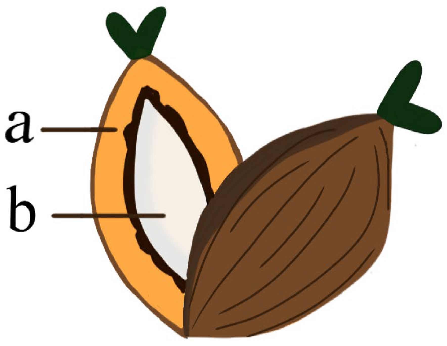 Polymers 14 01758 g002