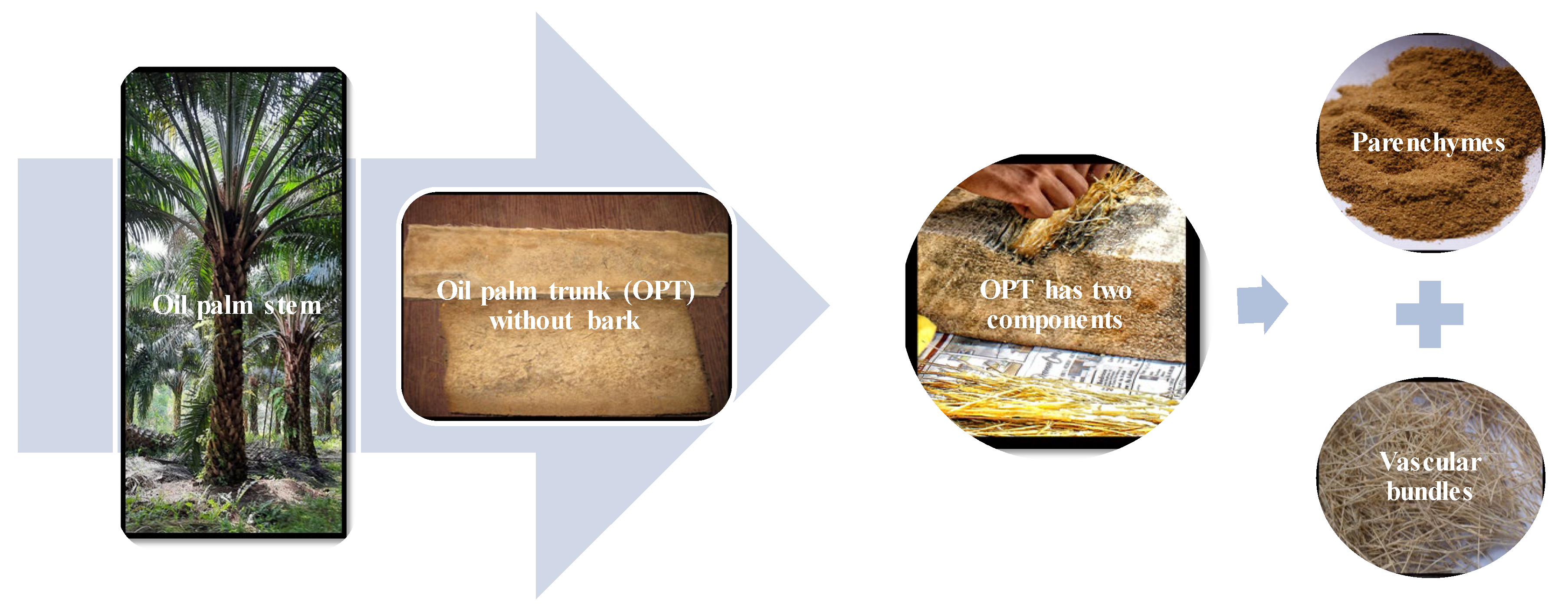 Polymers 14 01758 g005