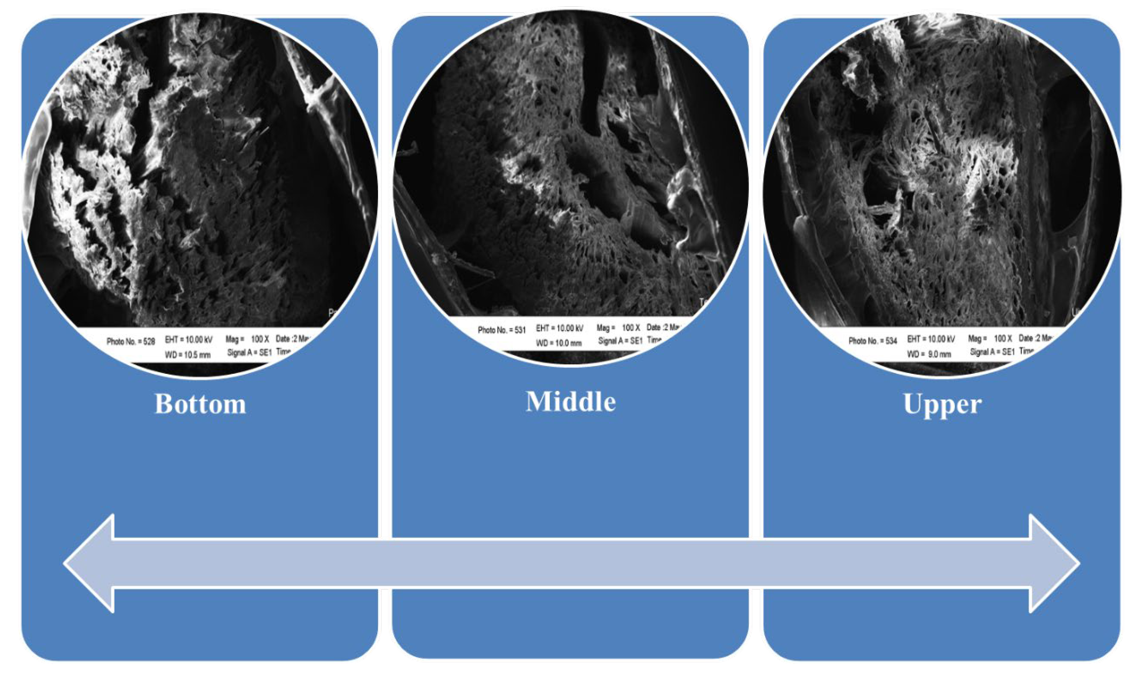 Polymers 14 01758 g006