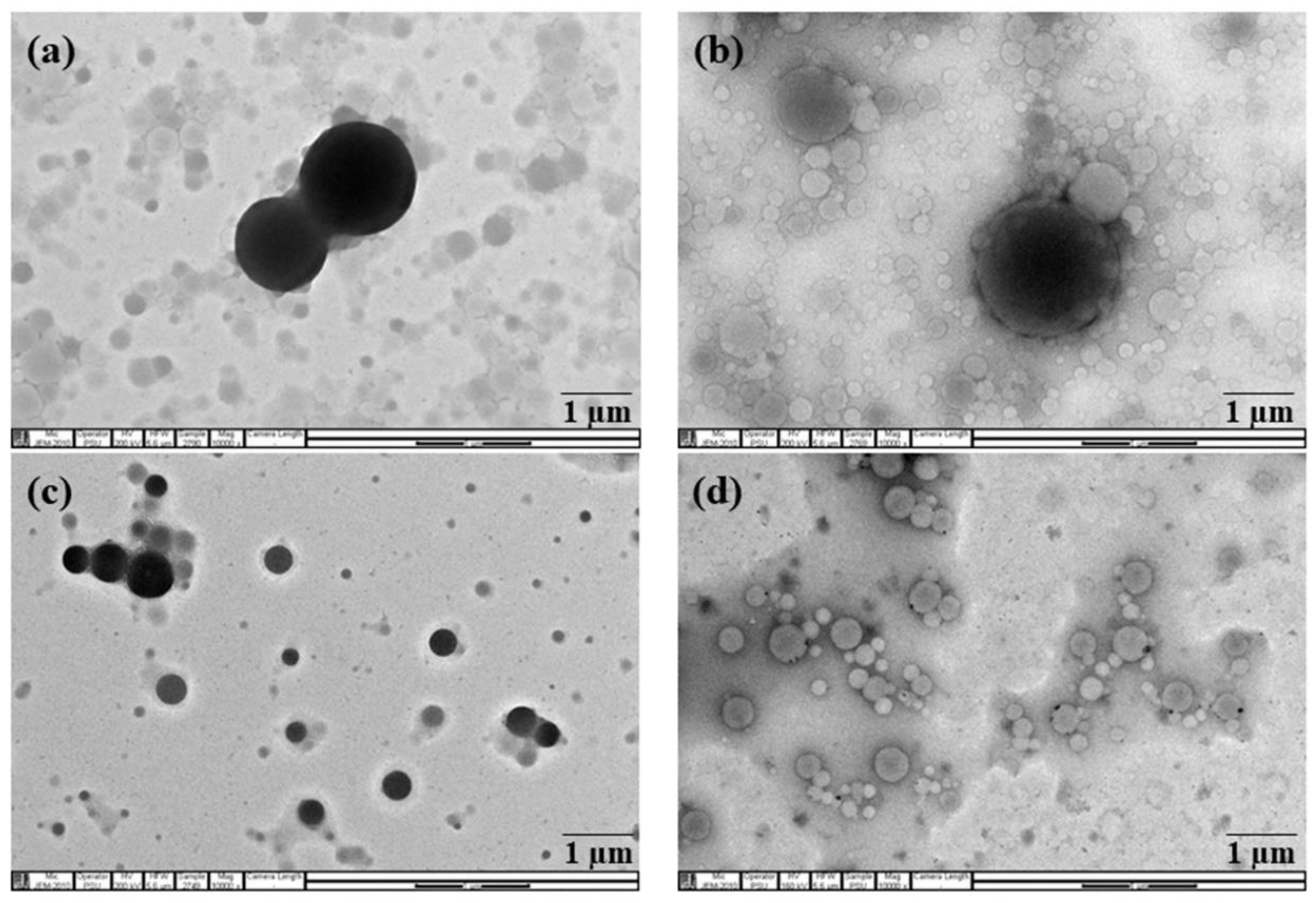 Polymers 14 01759 g003