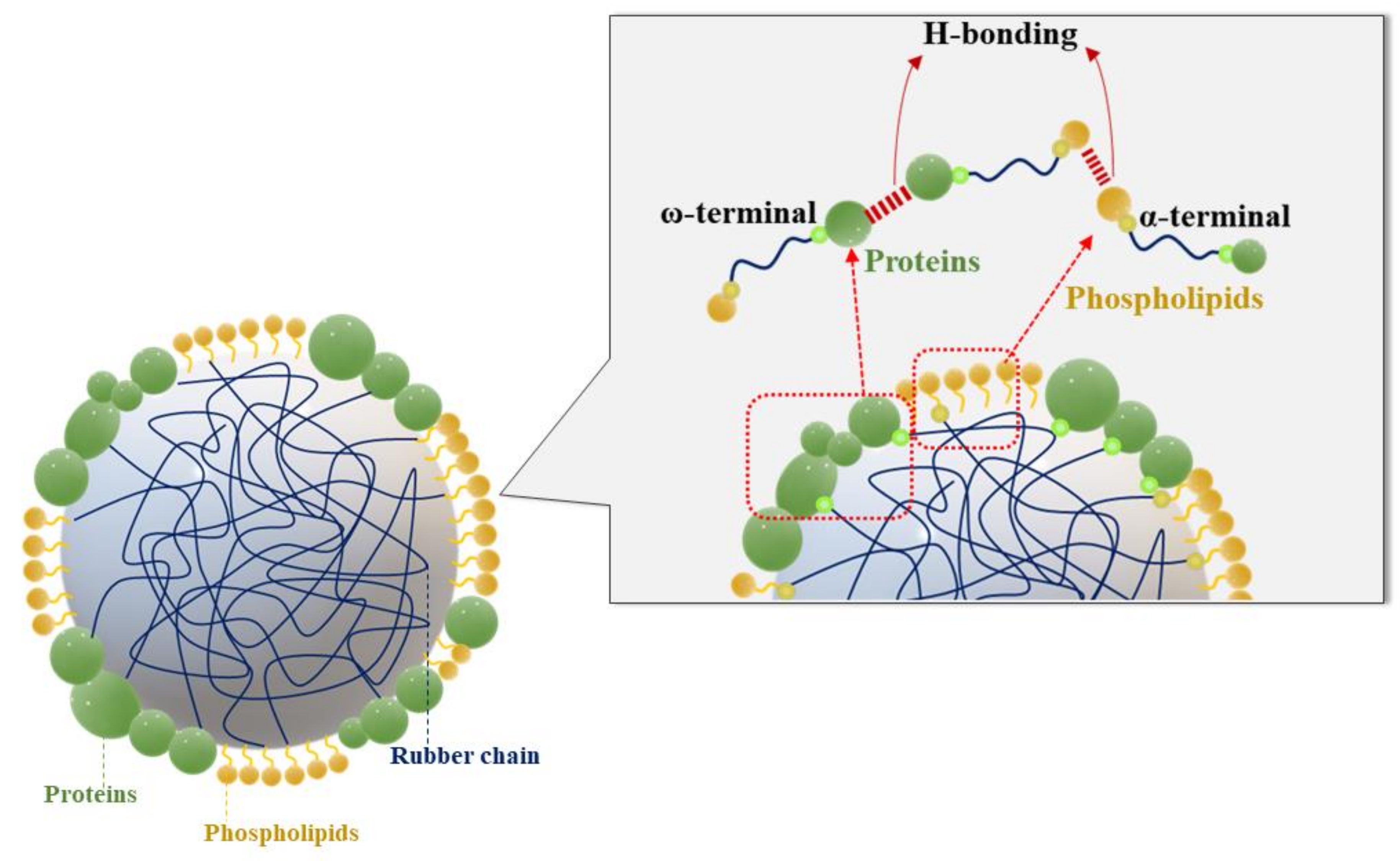 Polymers 14 01759 g005