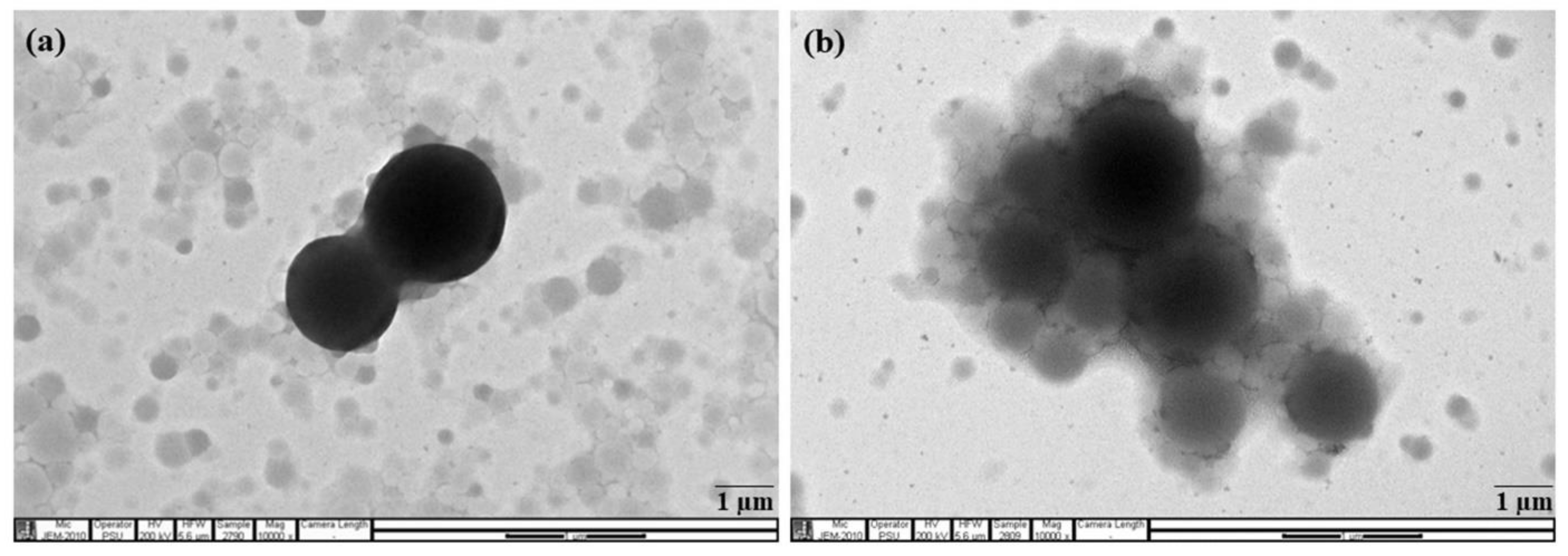 Polymers 14 01759 g009