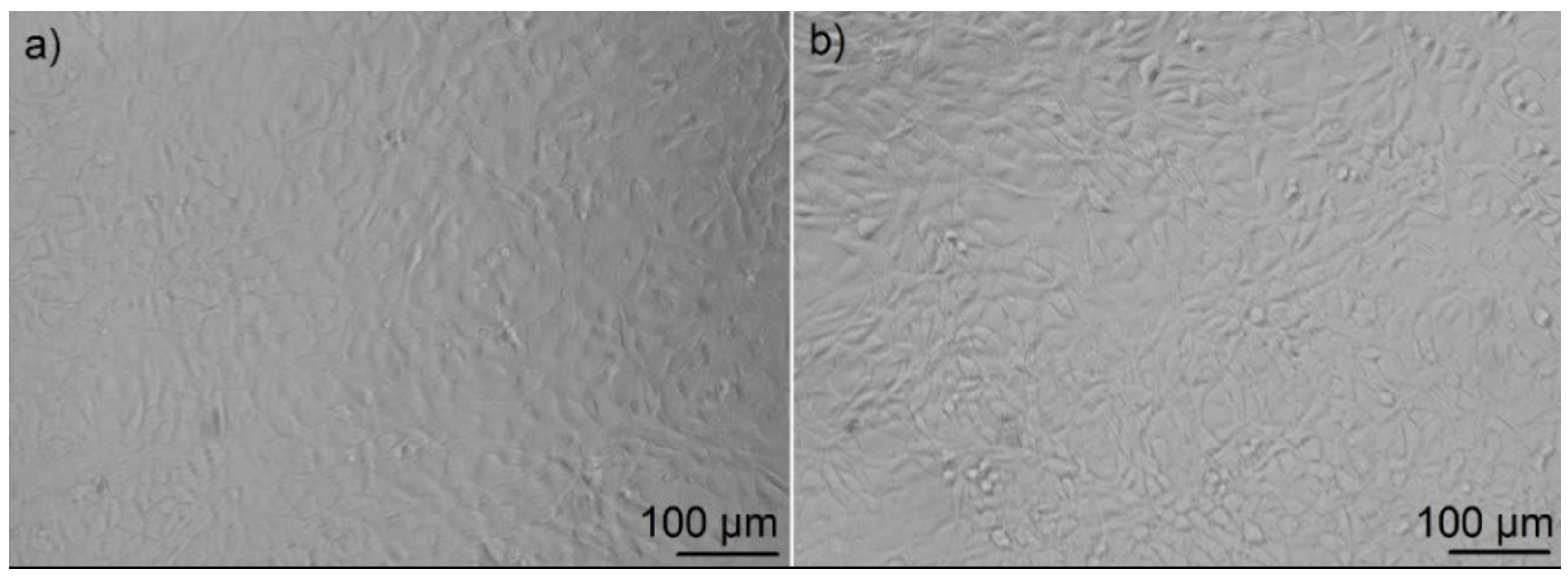 Polymers 14 01766 g012
