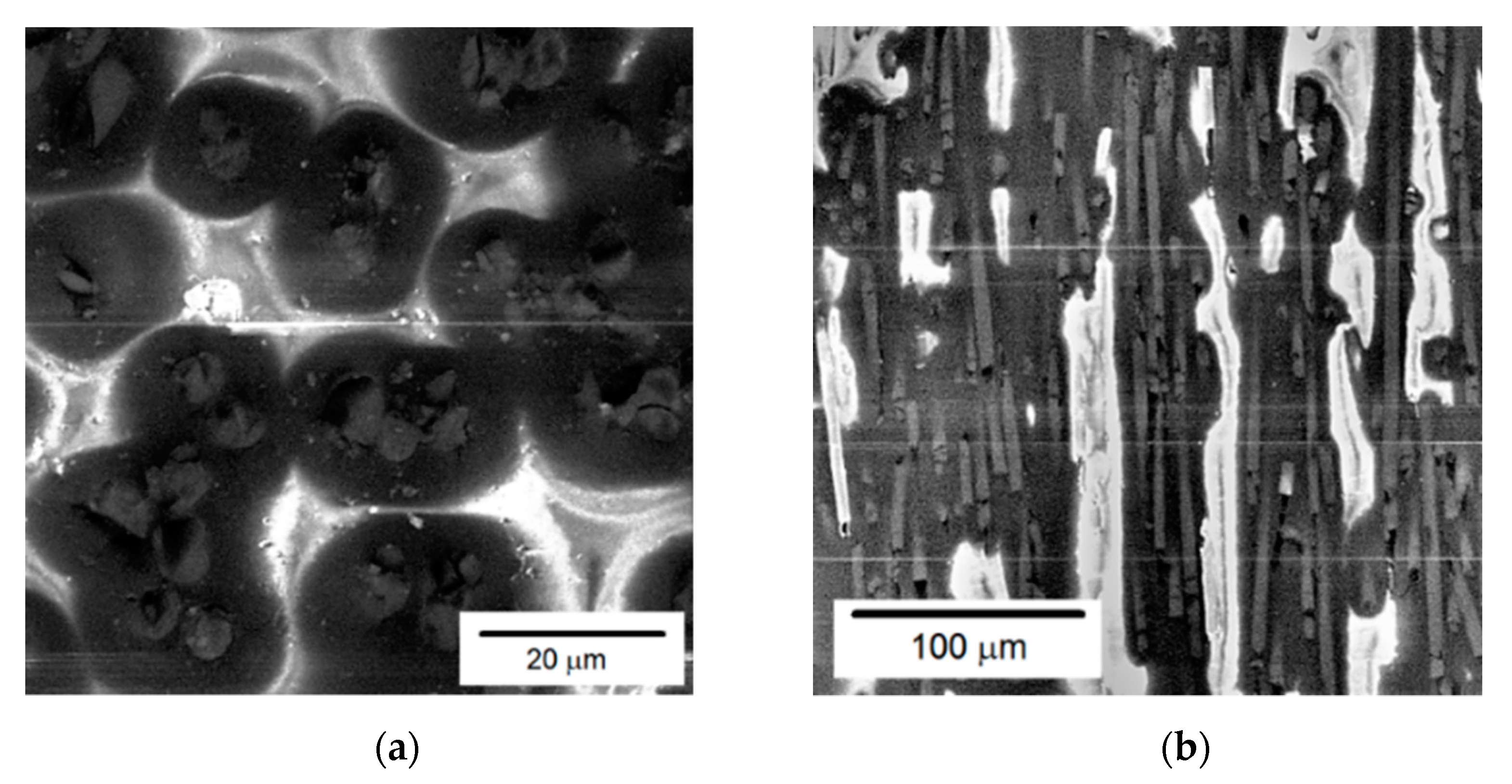 Polymers 14 01781 g009