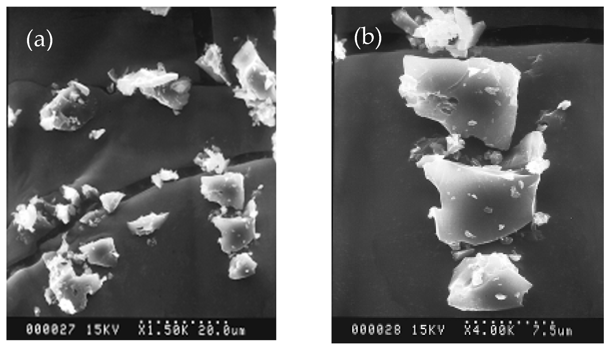 Polymers 14 01794 g001