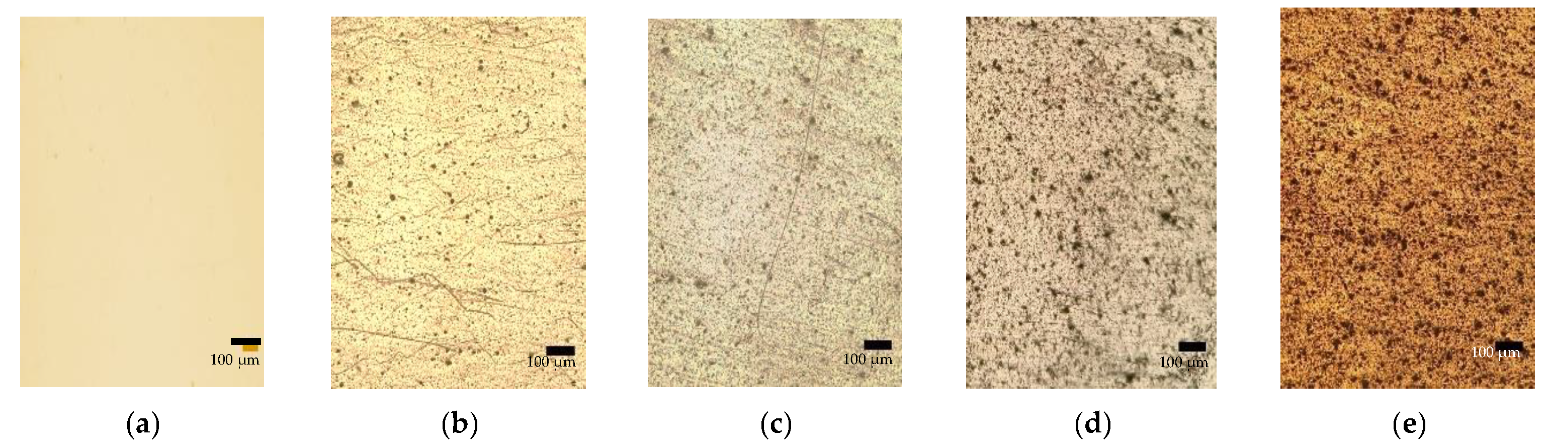Polymers 14 01794 g002