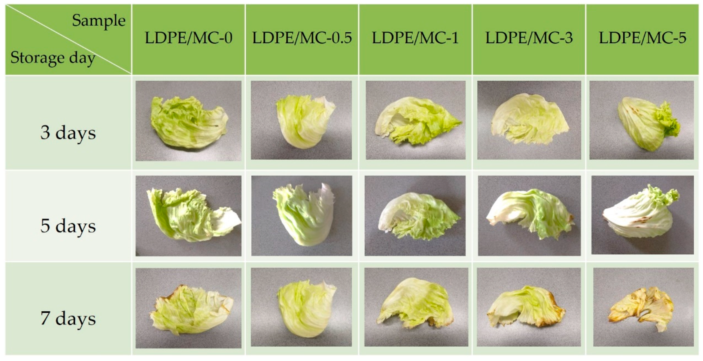Polymers 14 01794 g009