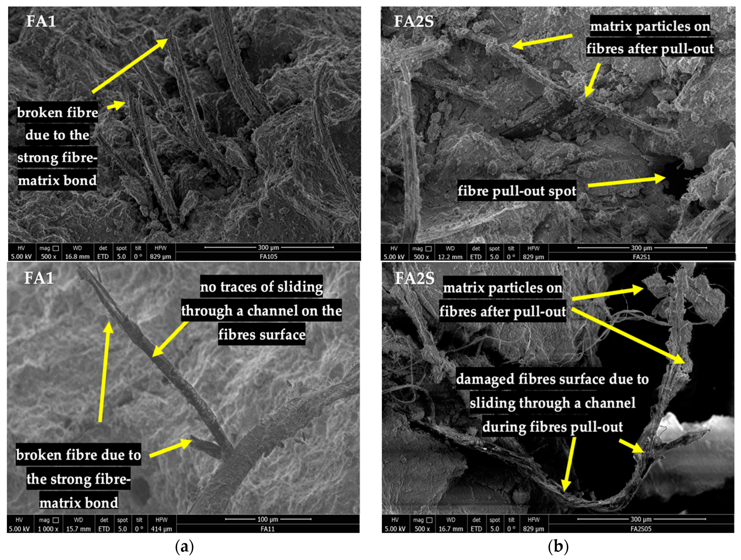 Polymers 14 01799 g008