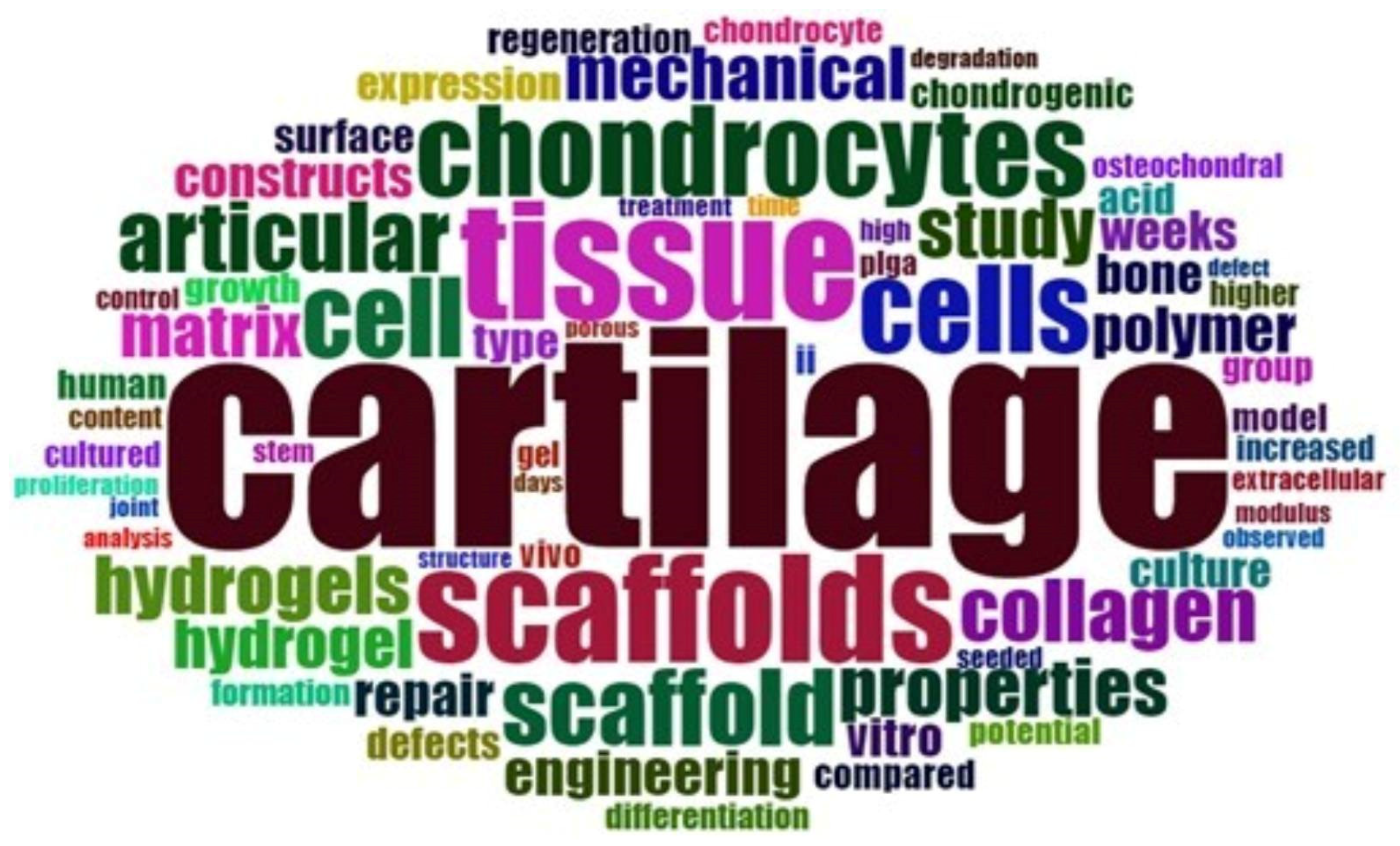Polymers 14 01802 g003