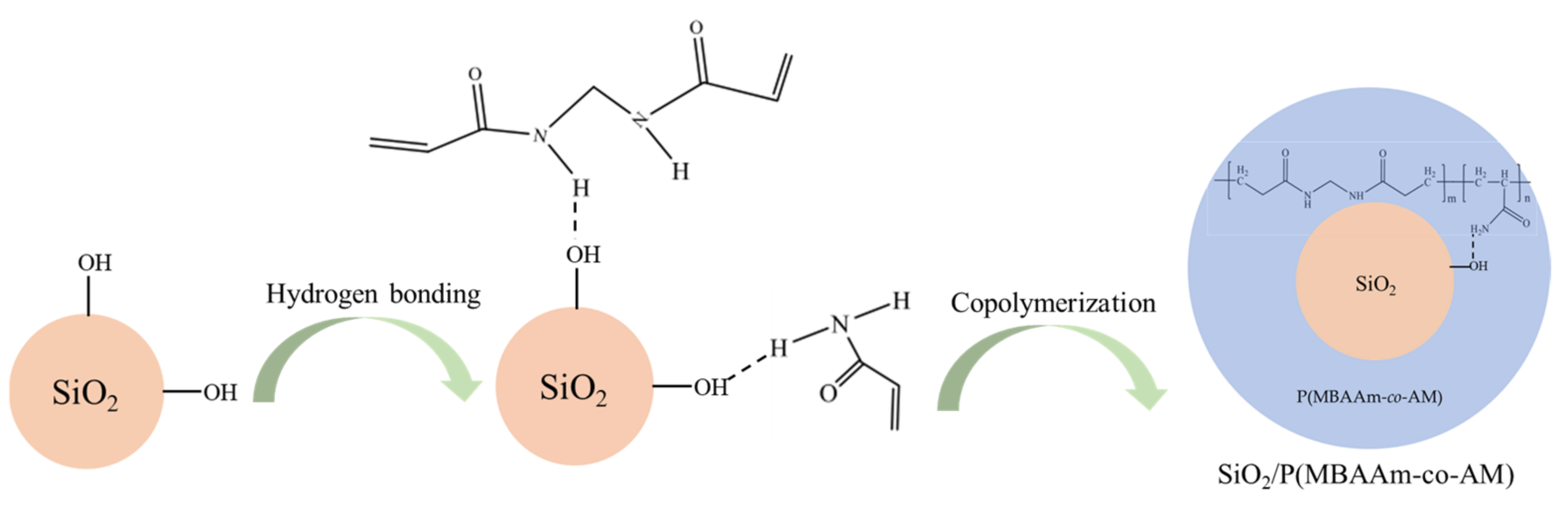 Polymers 14 01803 g001