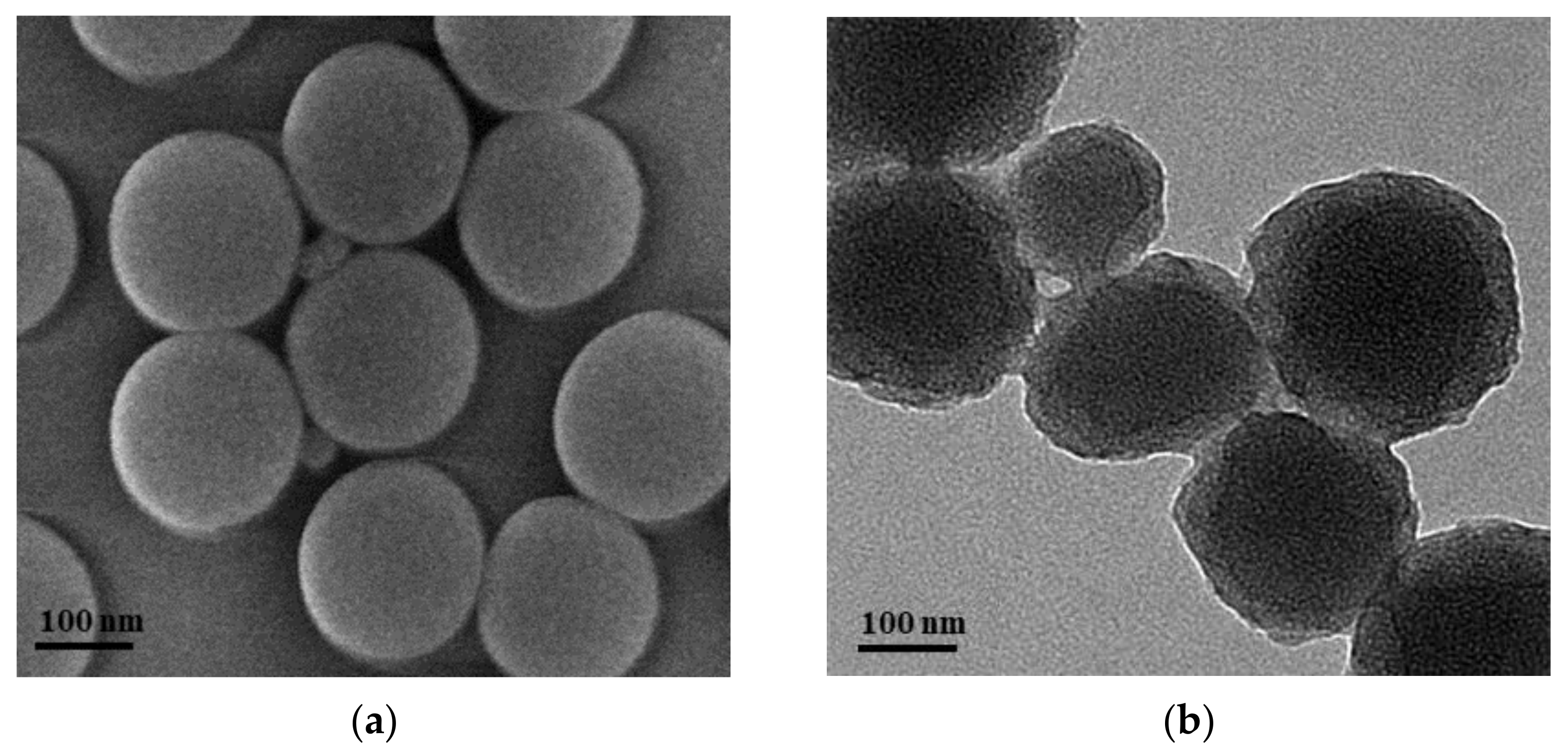 Polymers 14 01803 g007