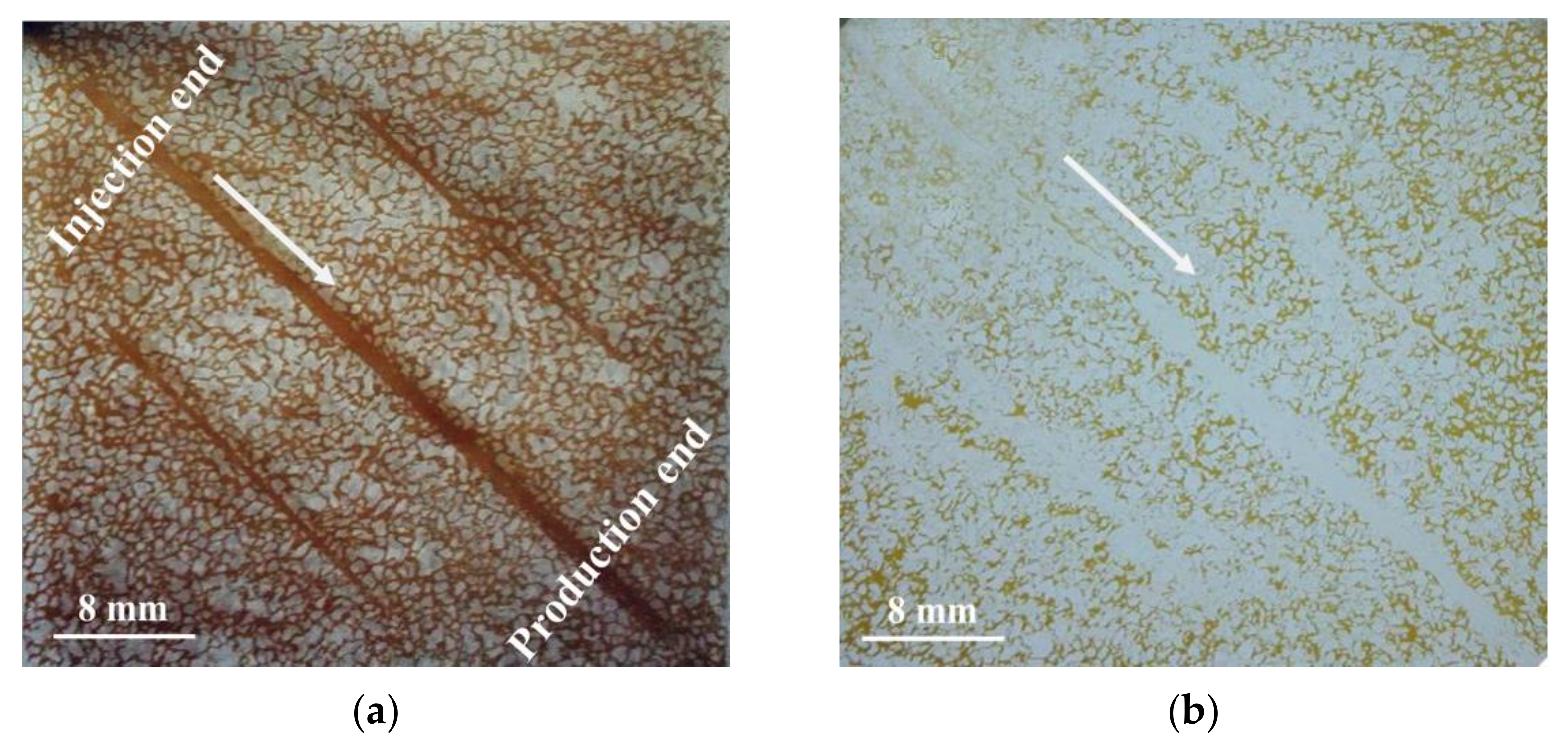 Polymers 14 01803 g013a