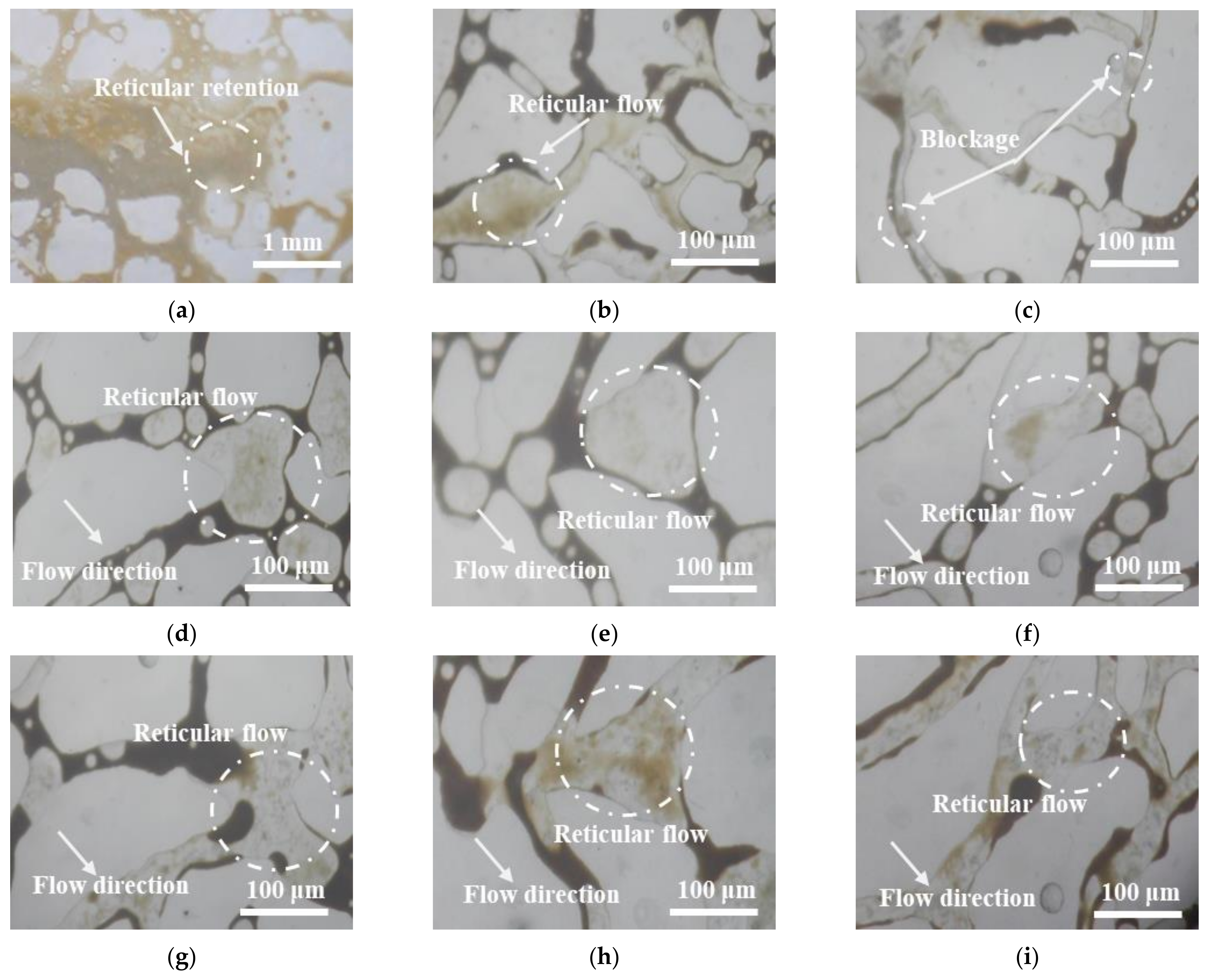 Polymers 14 01803 g014