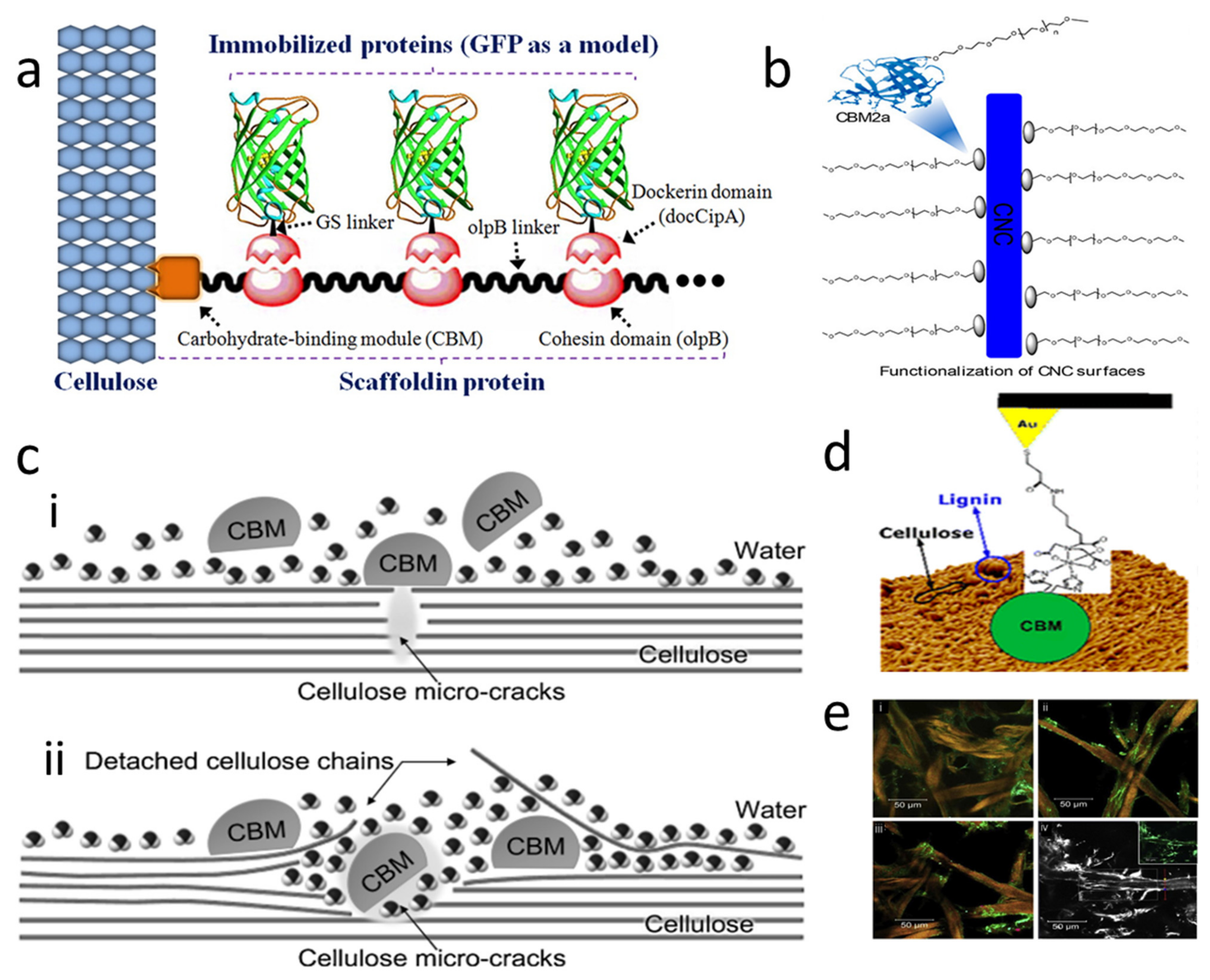 Polymers 14 01806 g002
