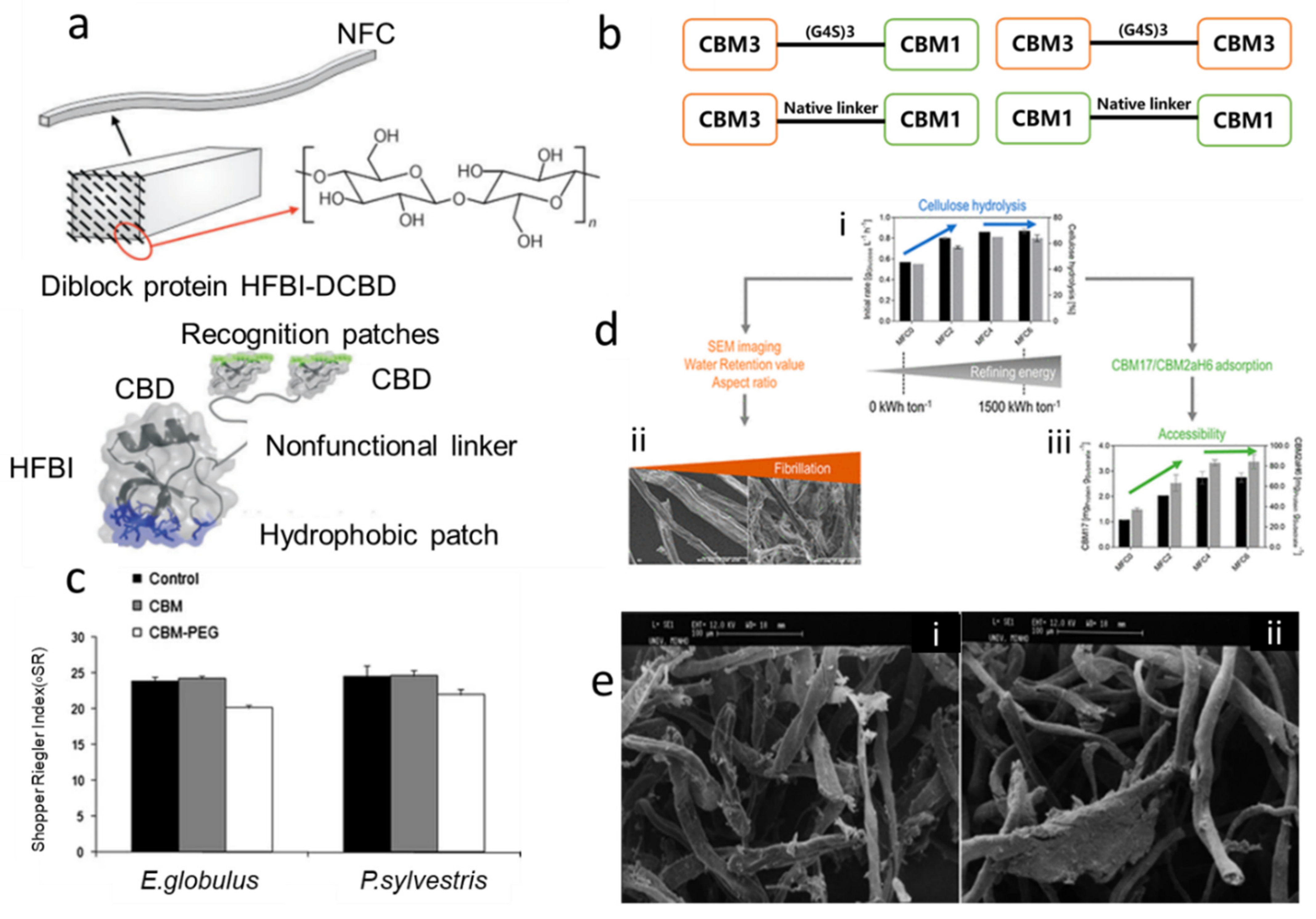 Polymers 14 01806 g003