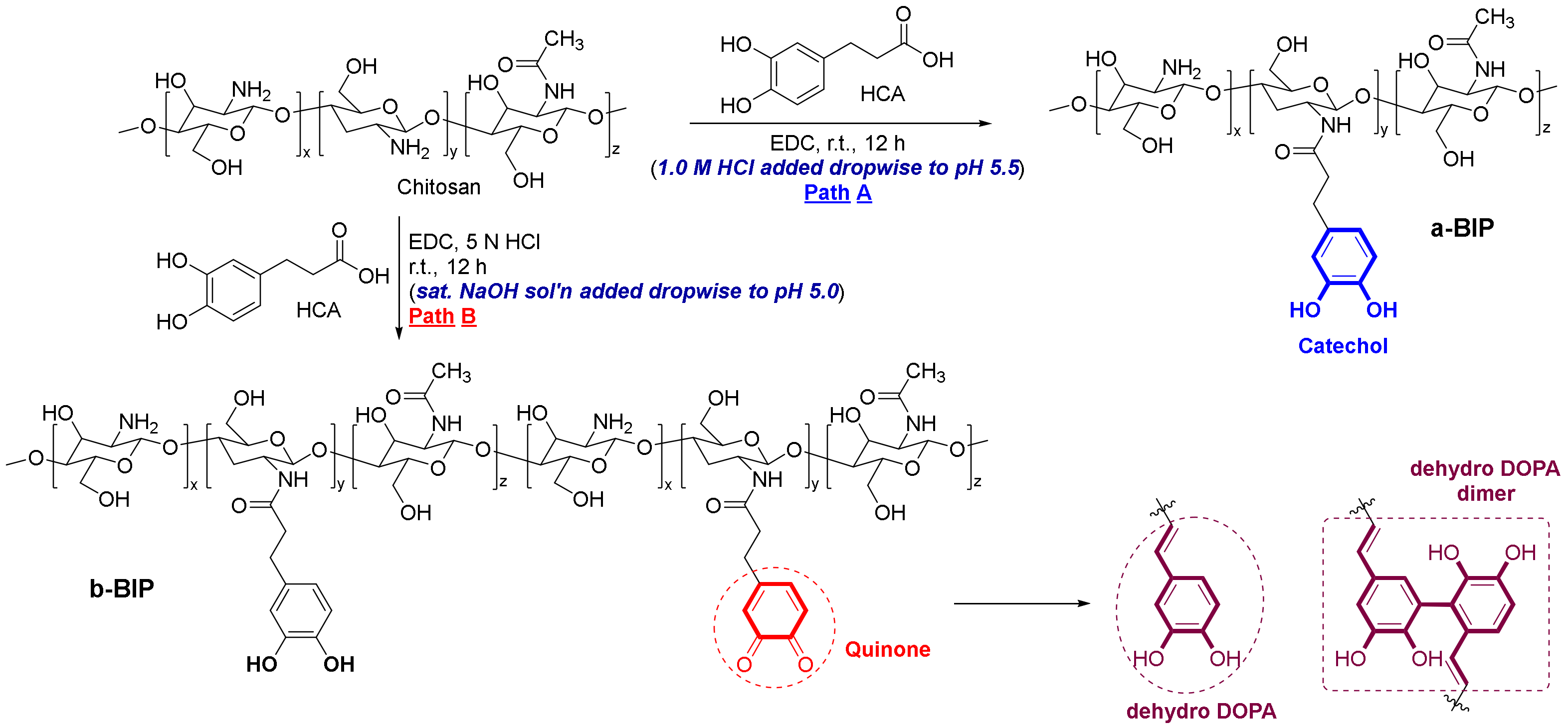 Polymers 14 01808 g001