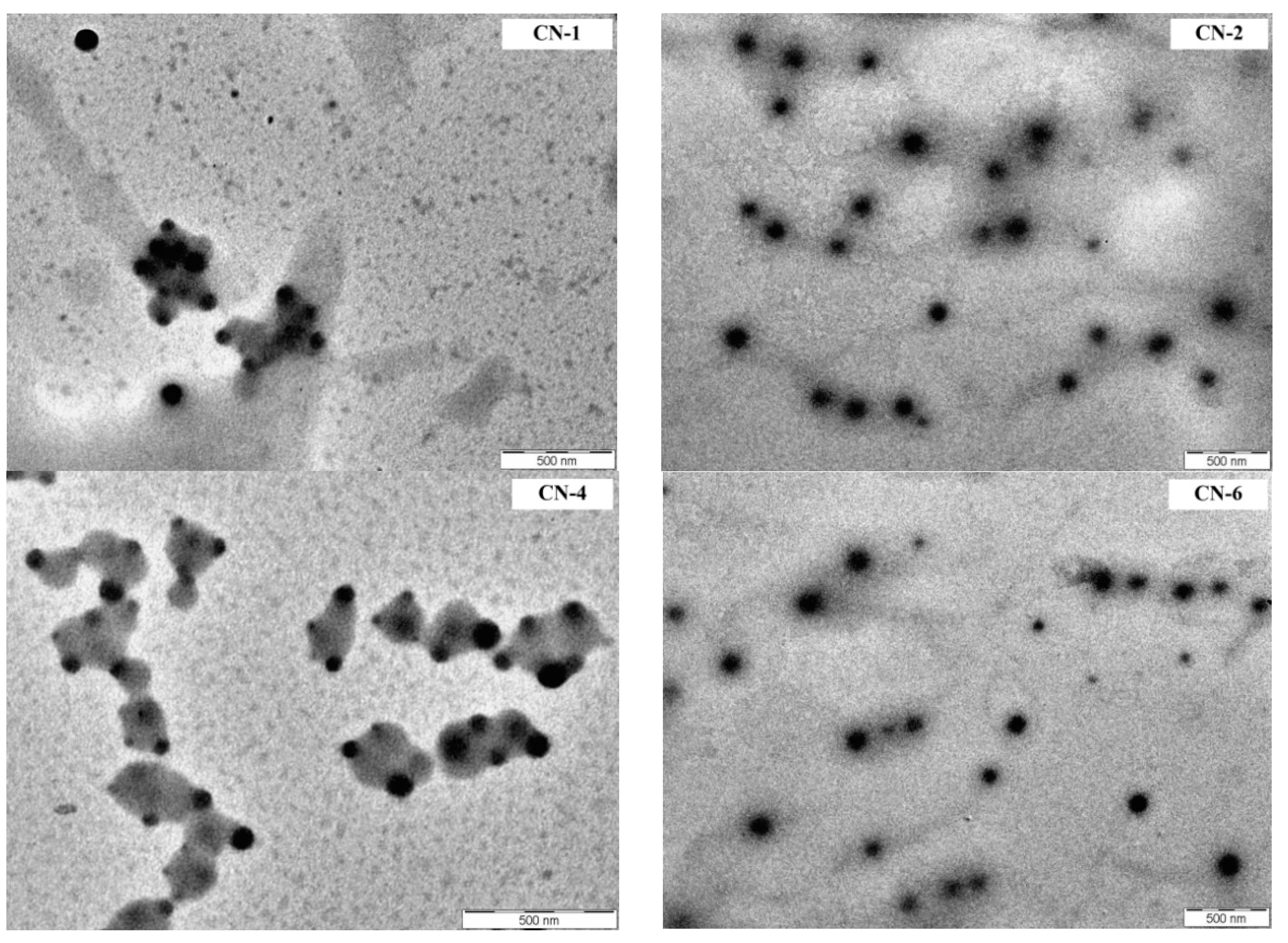 Polymers 14 01811 g004