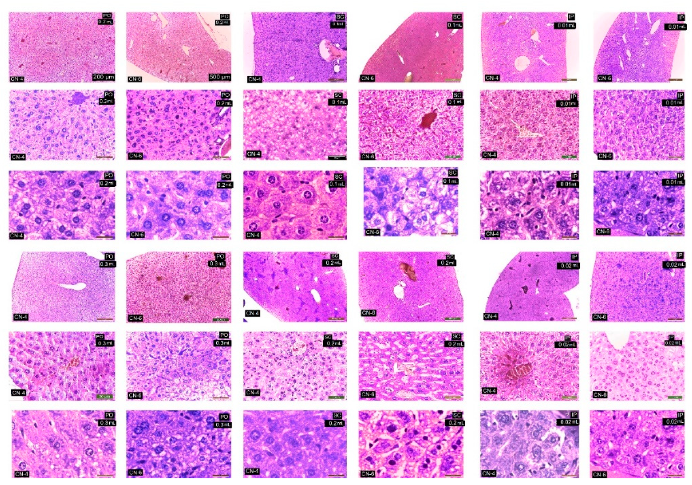 Polymers 14 01811 g011