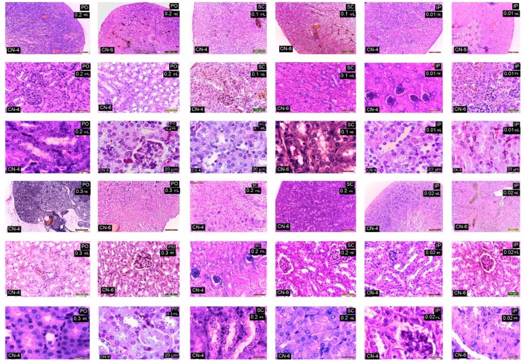 Polymers 14 01811 g012
