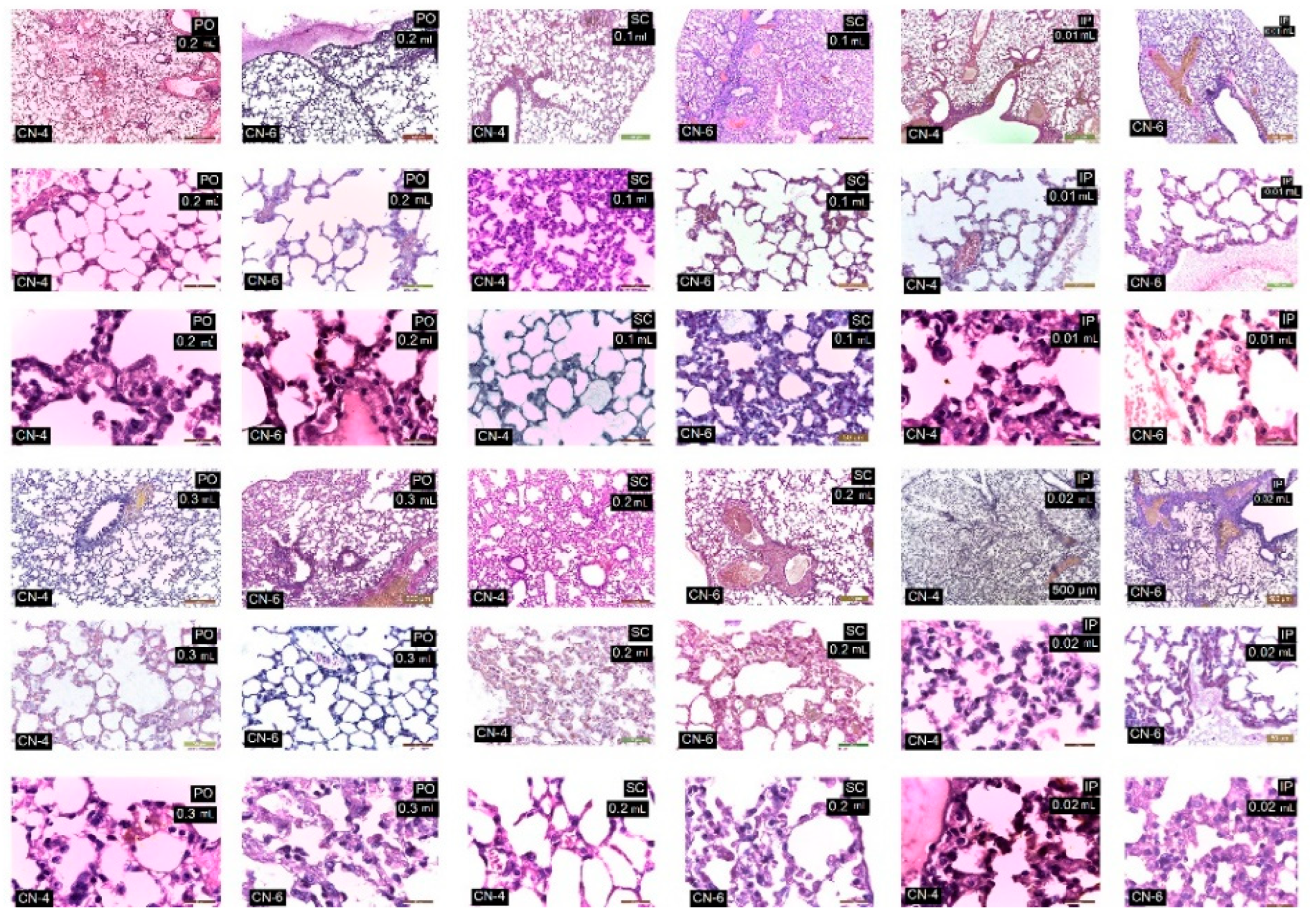 Polymers 14 01811 g013