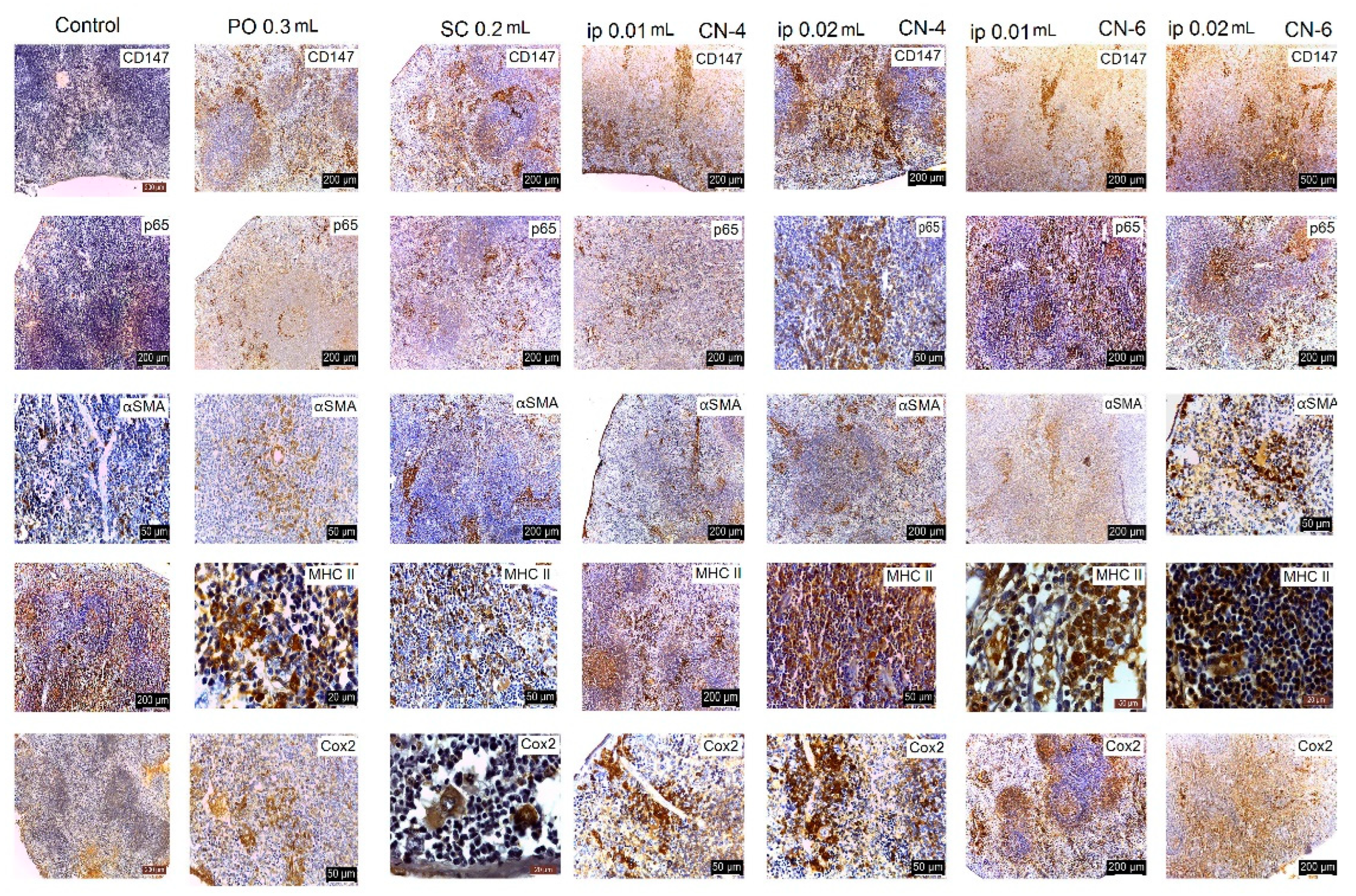 Polymers 14 01811 g018
