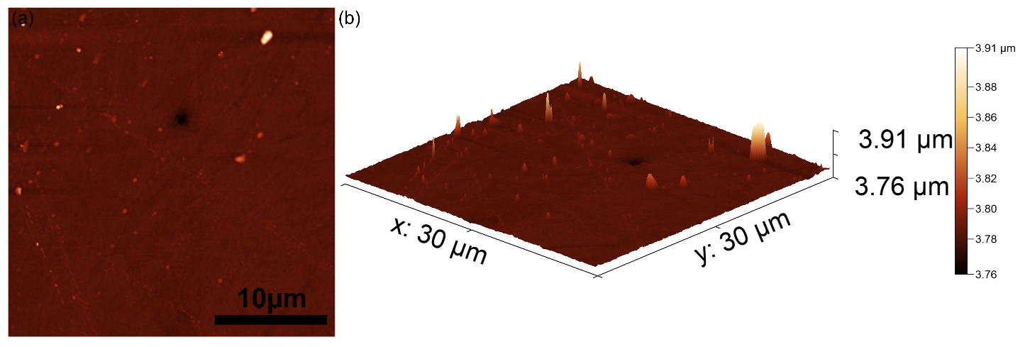 Polymers 14 01821 g004