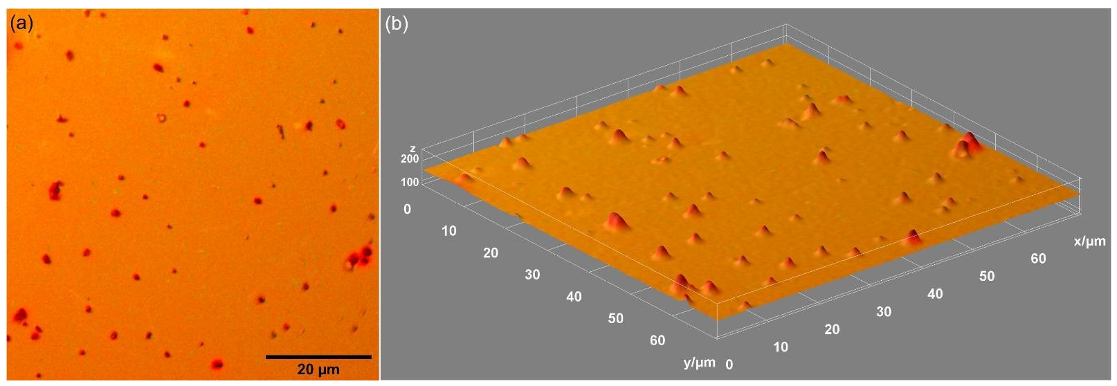 Polymers 14 01821 g005