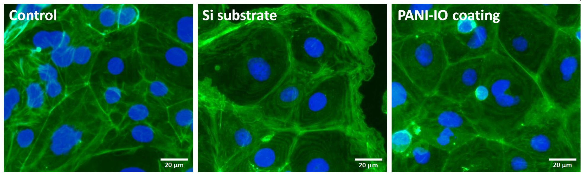 Polymers 14 01821 g009