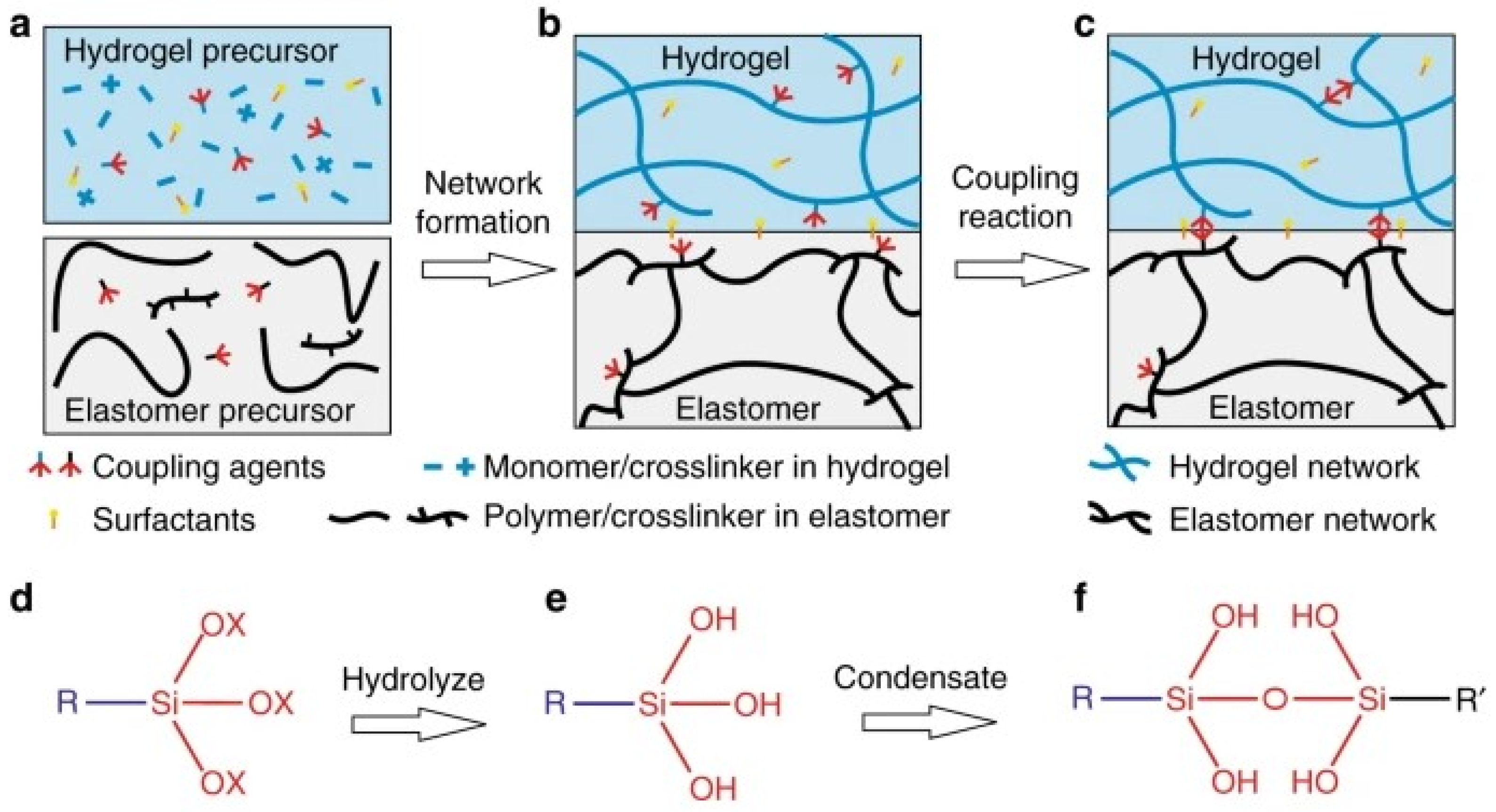 Polymers 14 01822 g002