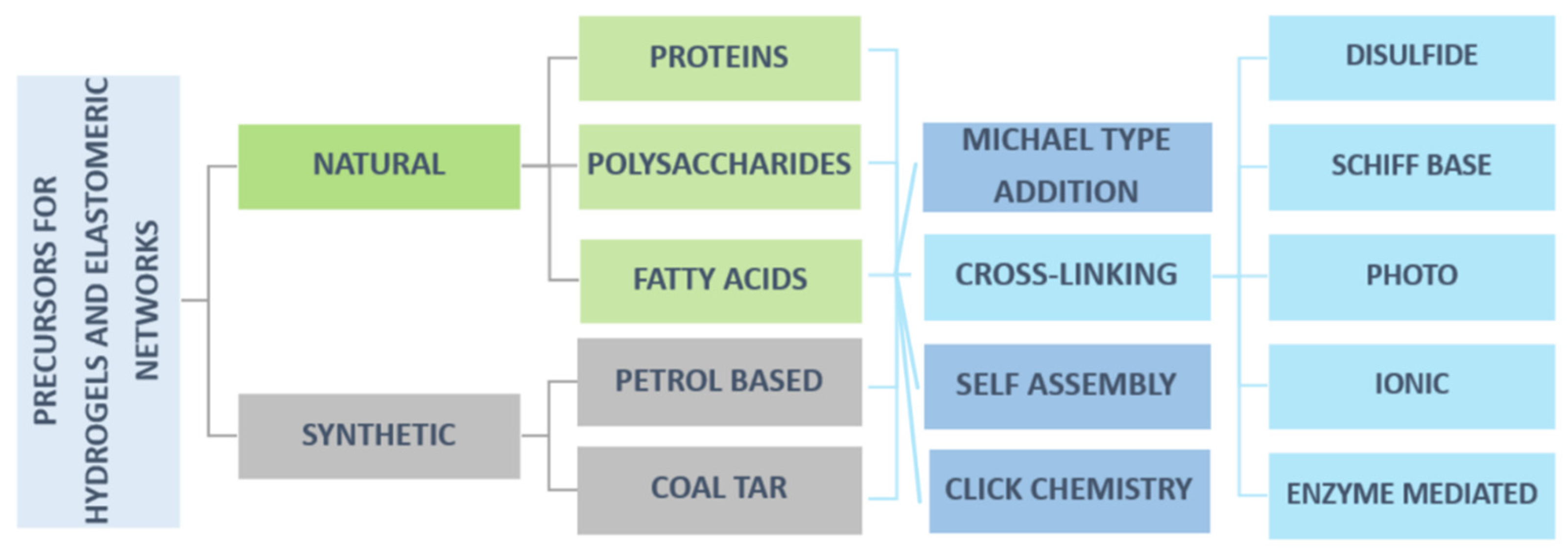 Polymers 14 01822 g004