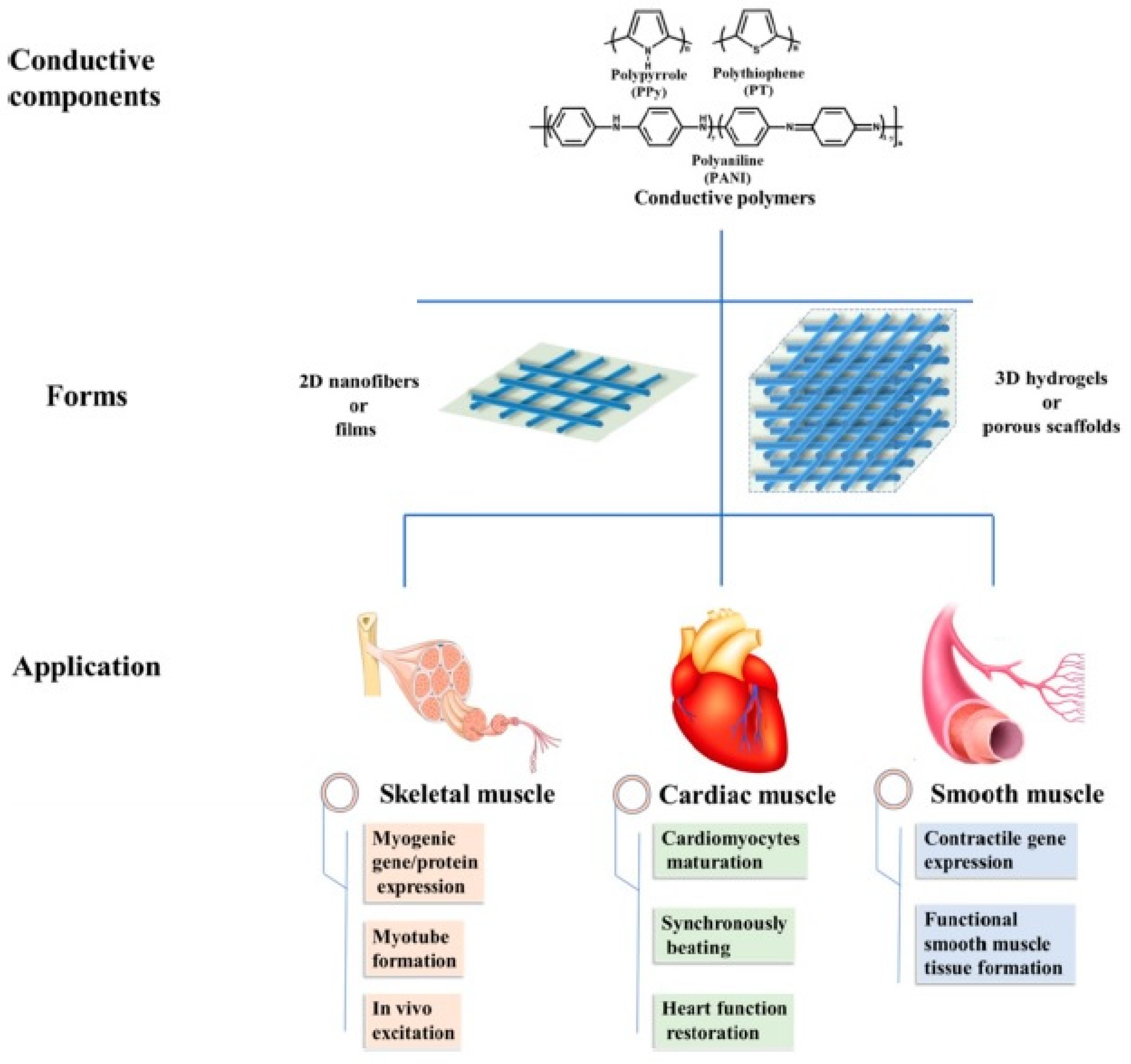Polymers 14 01822 g011