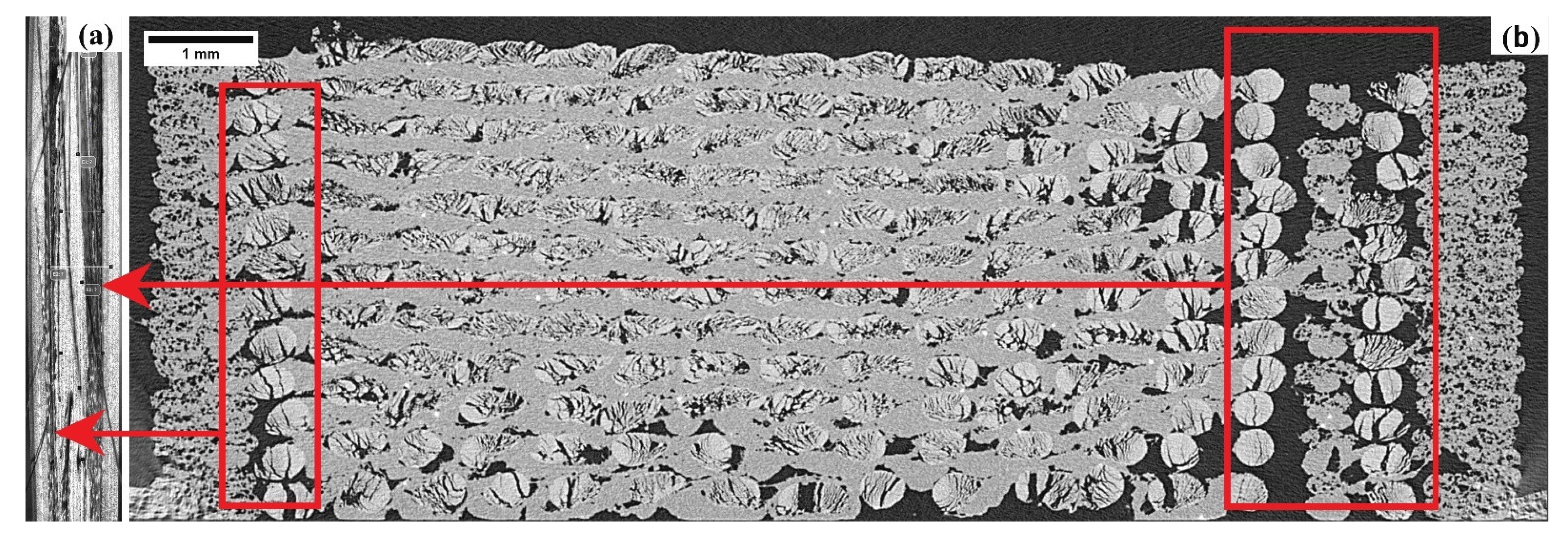 Polymers 14 01838 g004