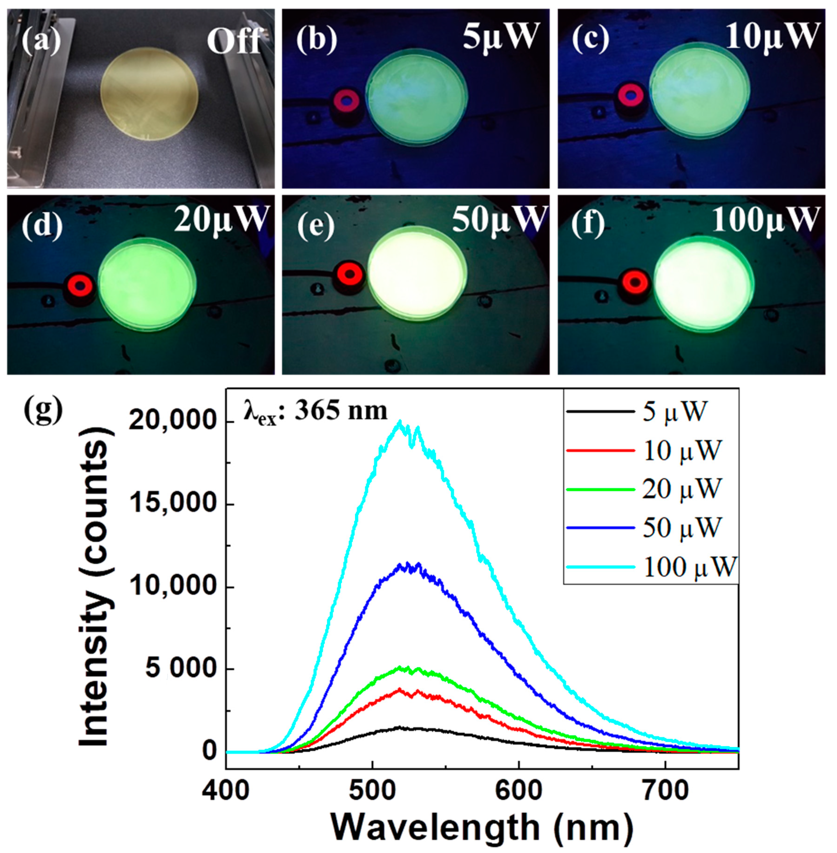 Polymers 14 01846 g003