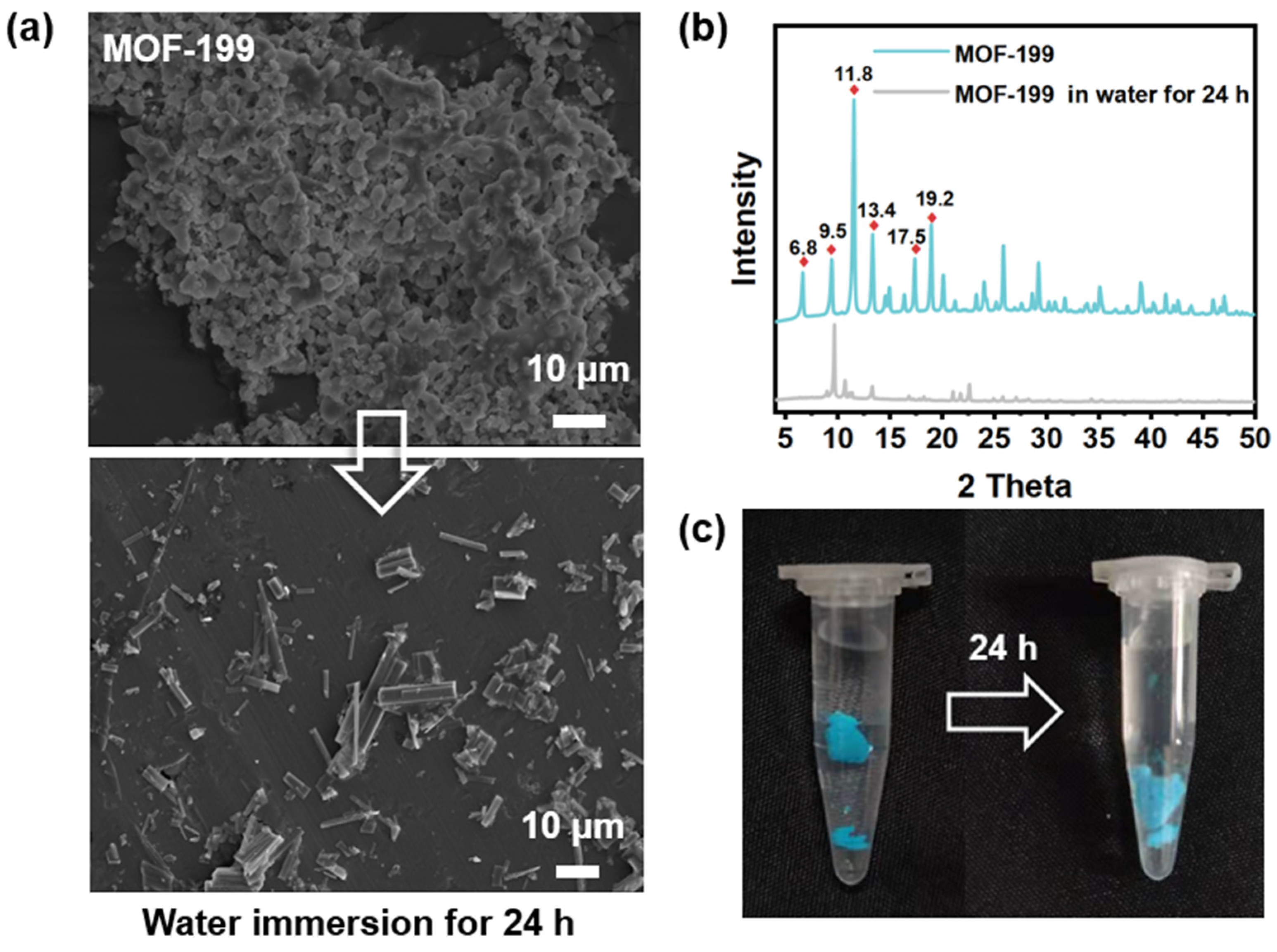Polymers 14 01847 g006