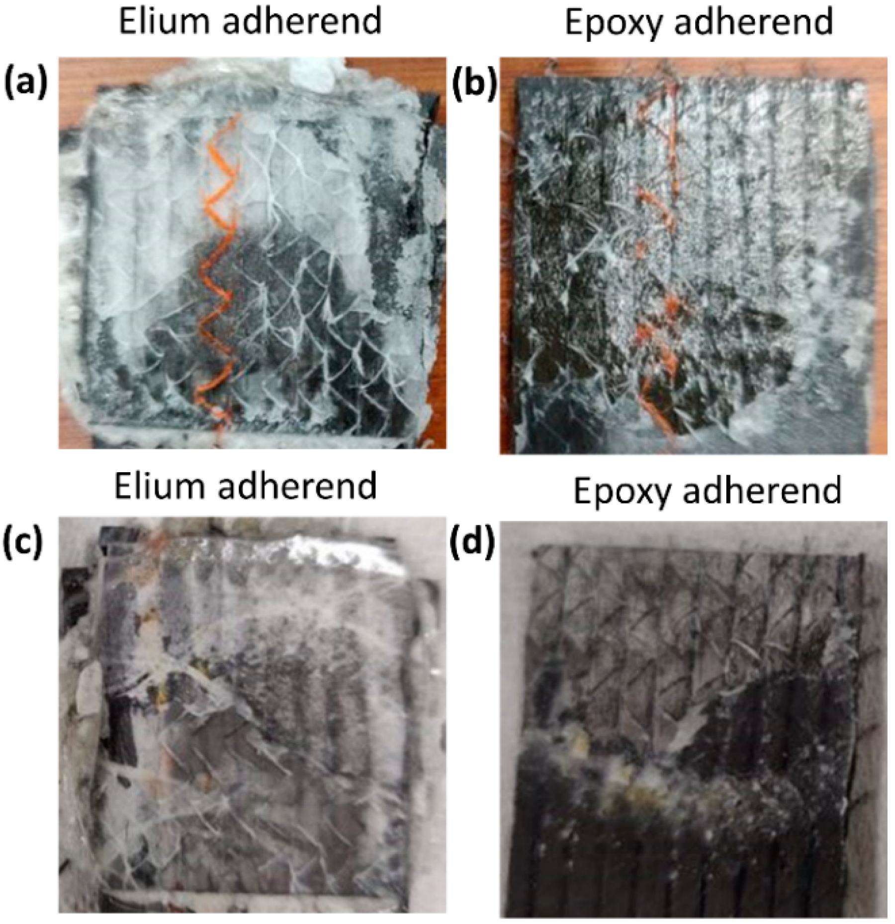 Polymers 14 01862 g012