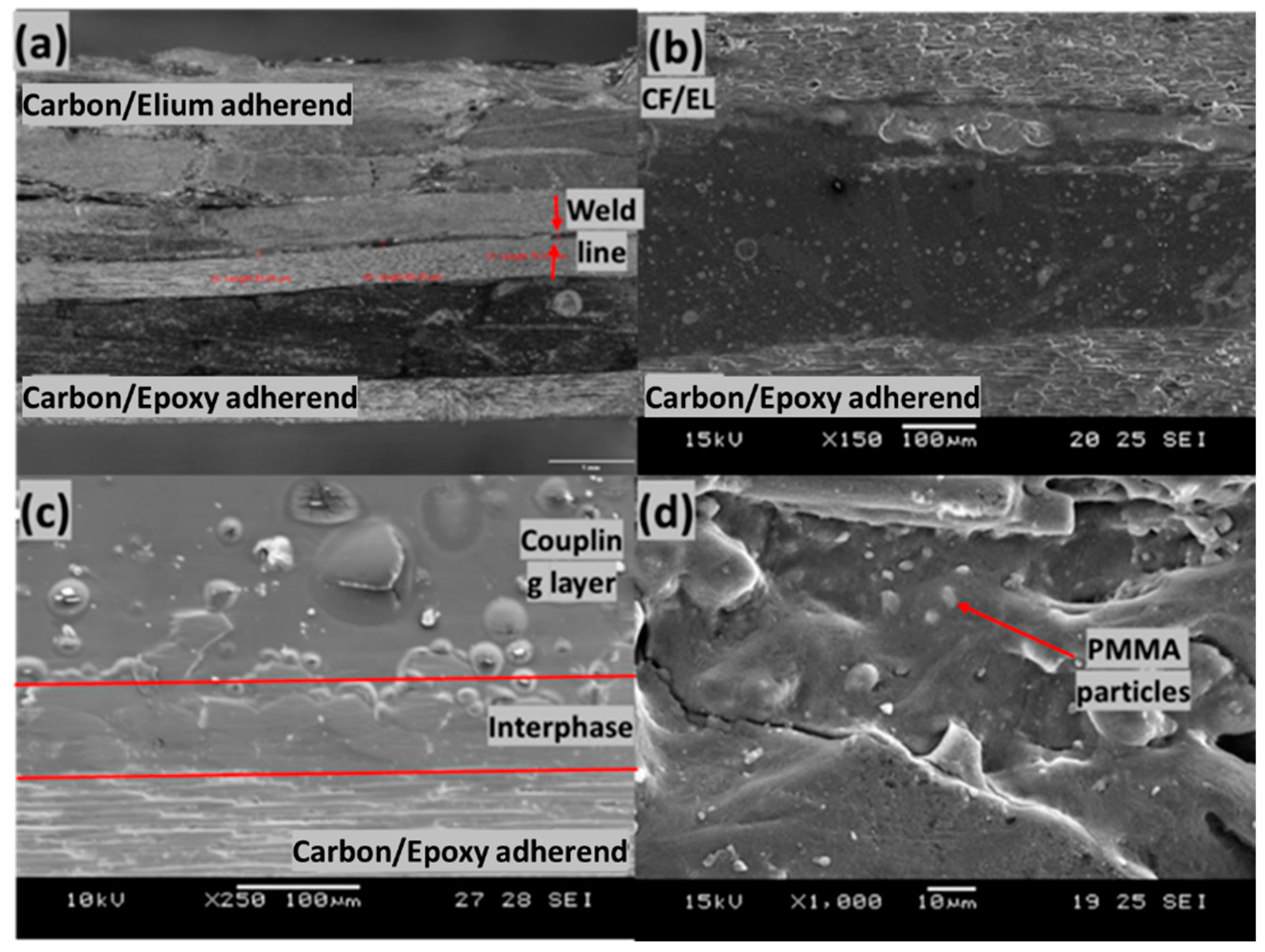 Polymers 14 01862 g016
