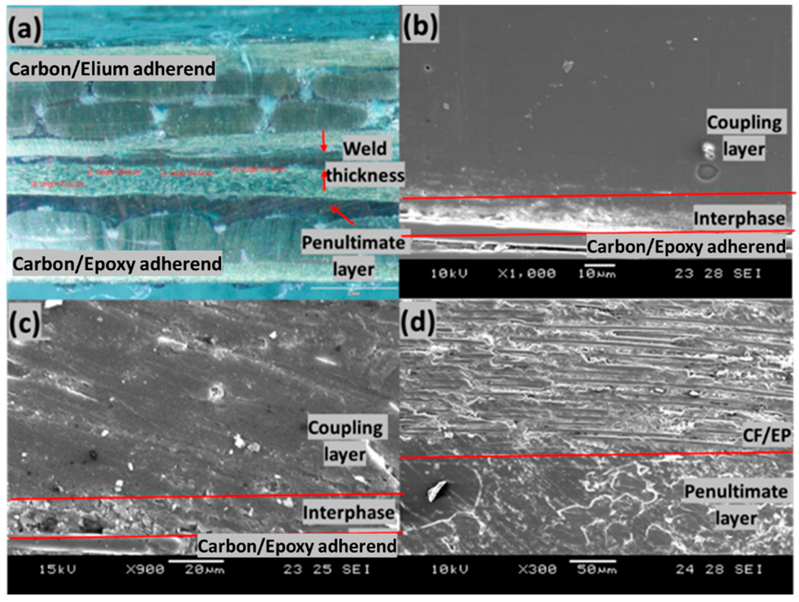 Polymers 14 01862 g017