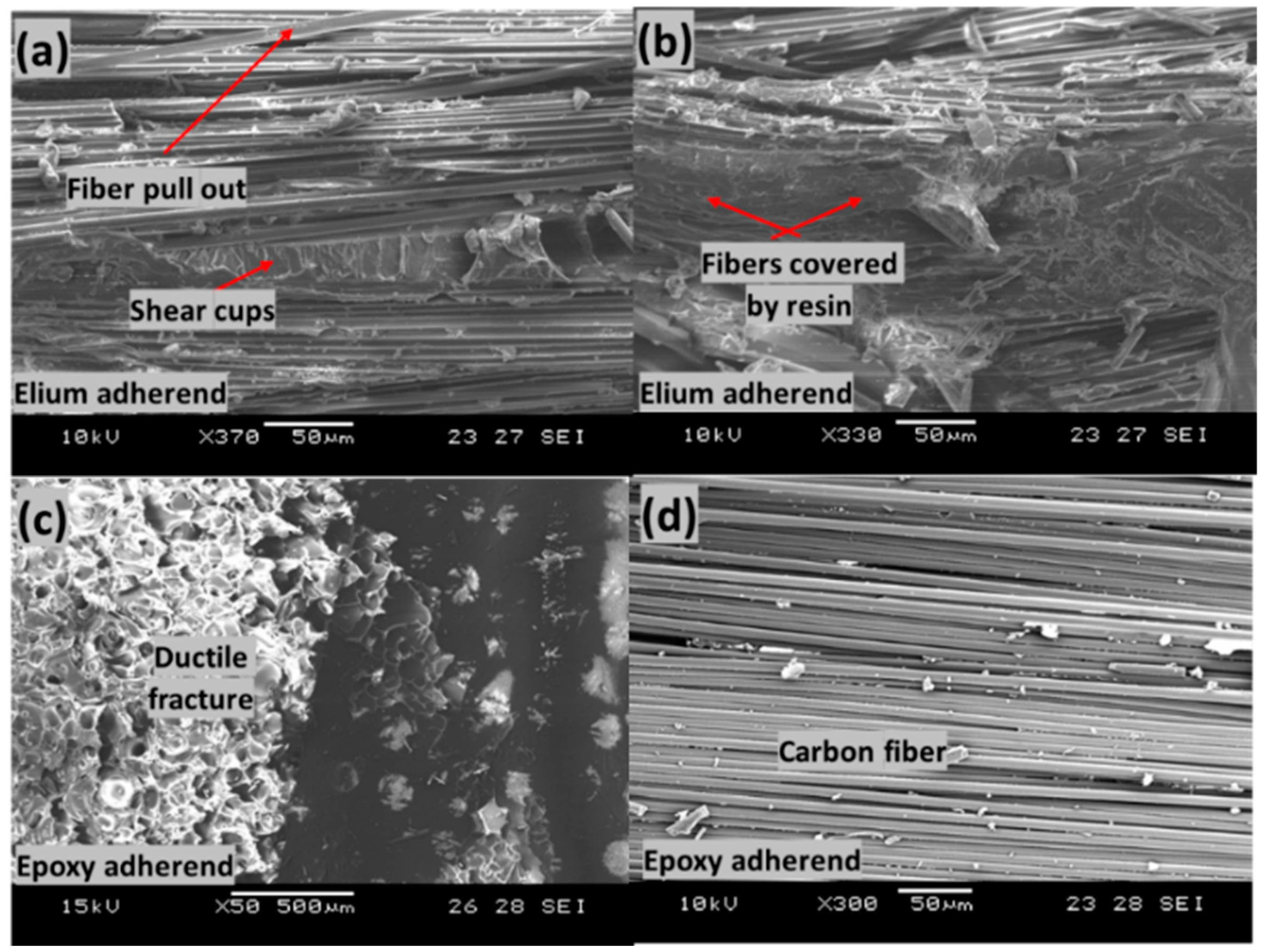 Polymers 14 01862 g018