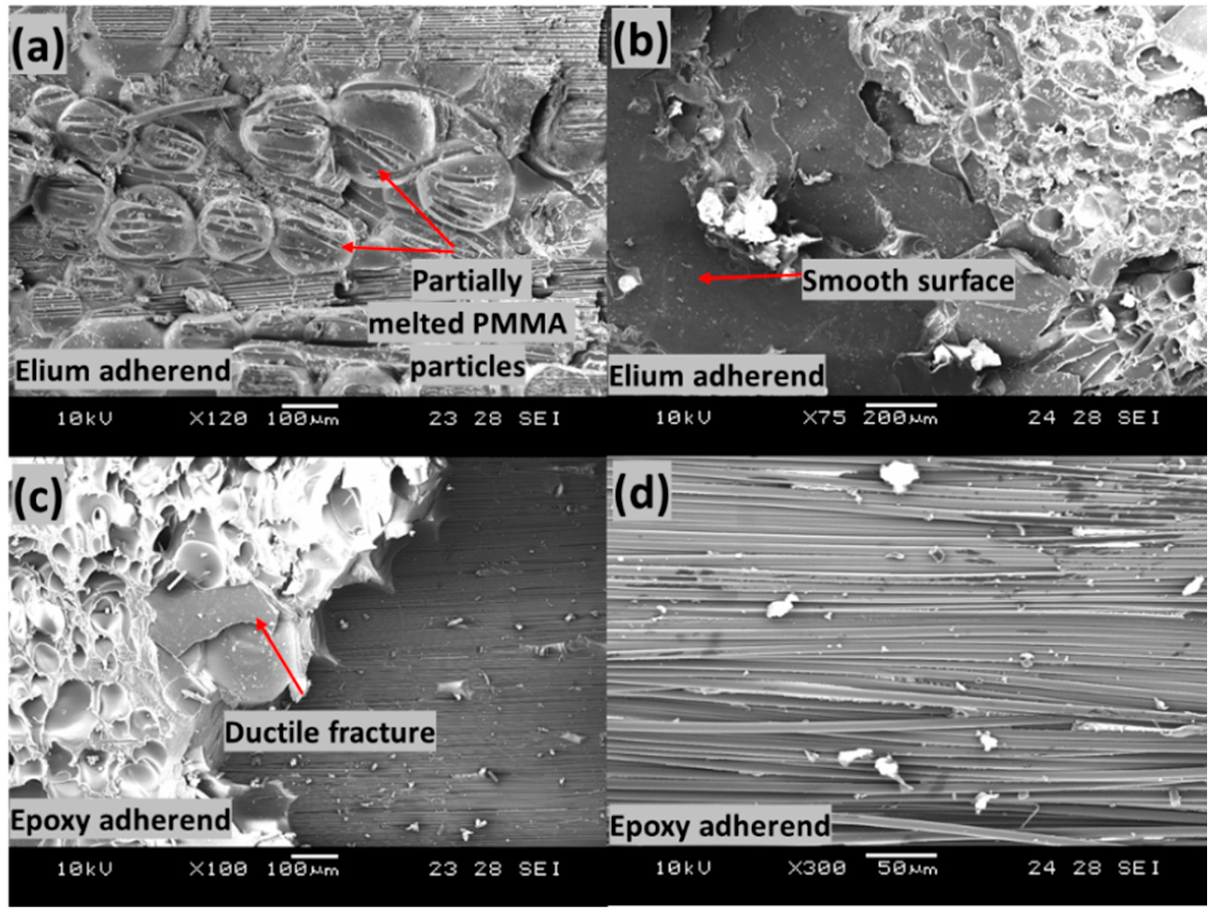 Polymers 14 01862 g021