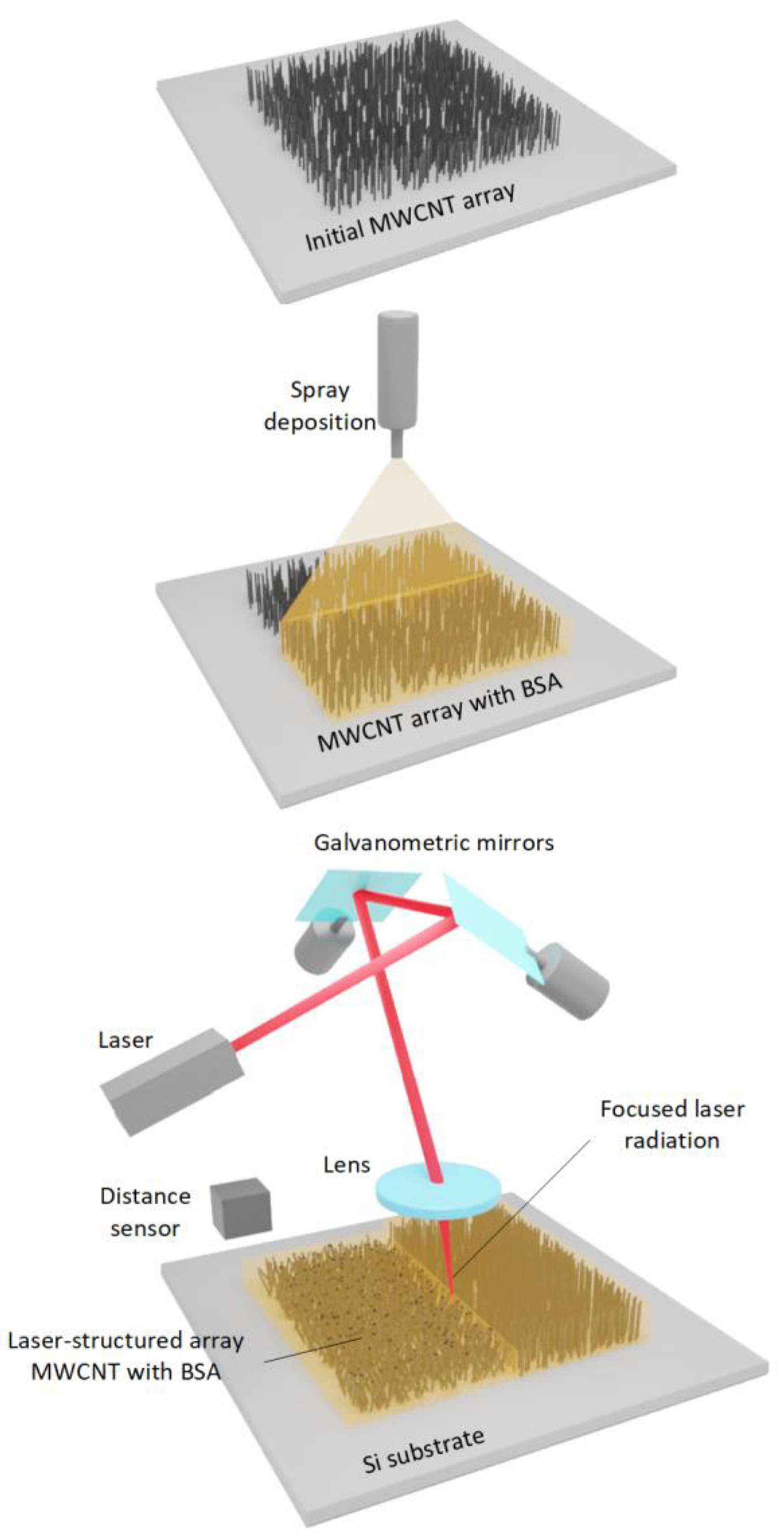 Polymers 14 01866 g001