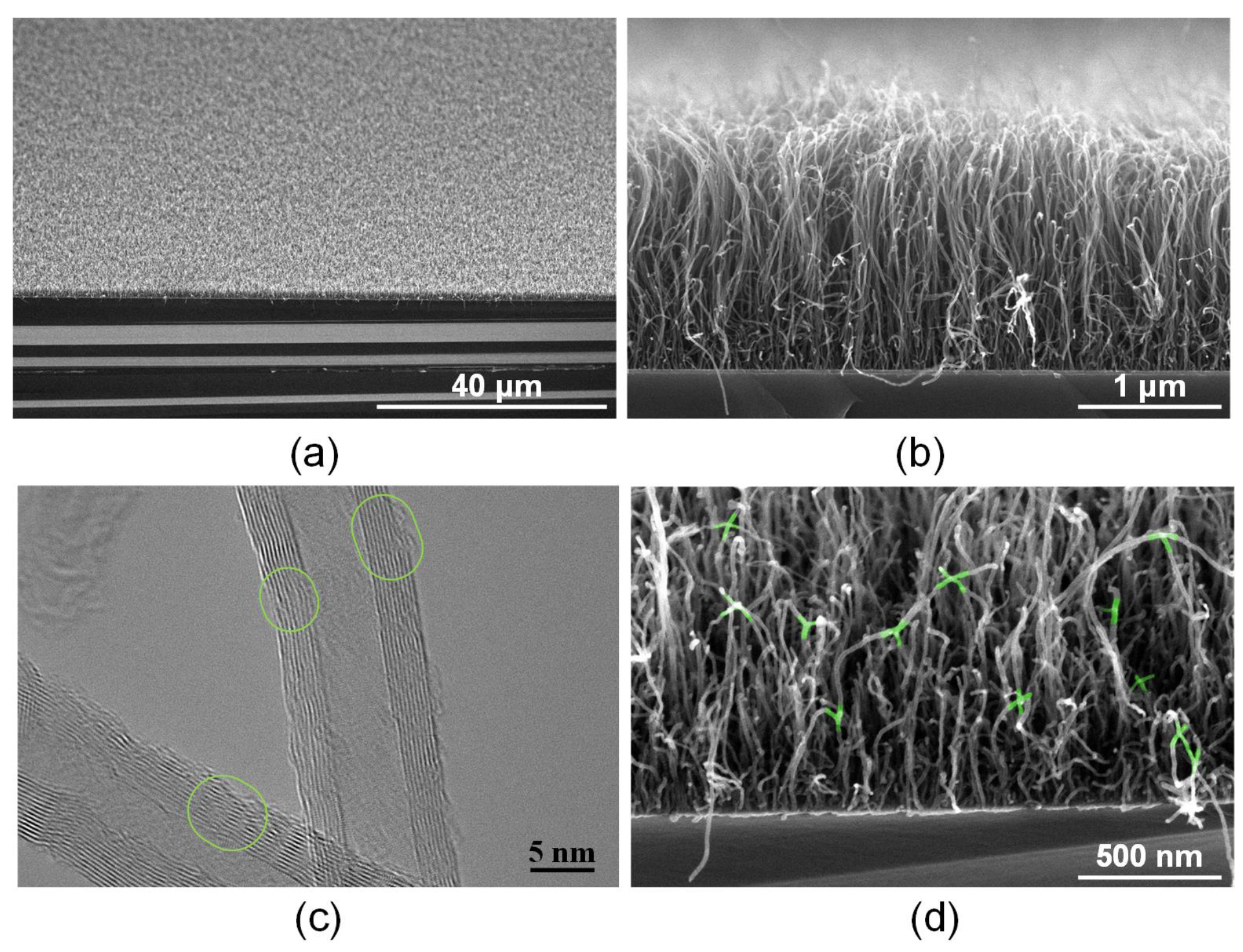 Polymers 14 01866 g003