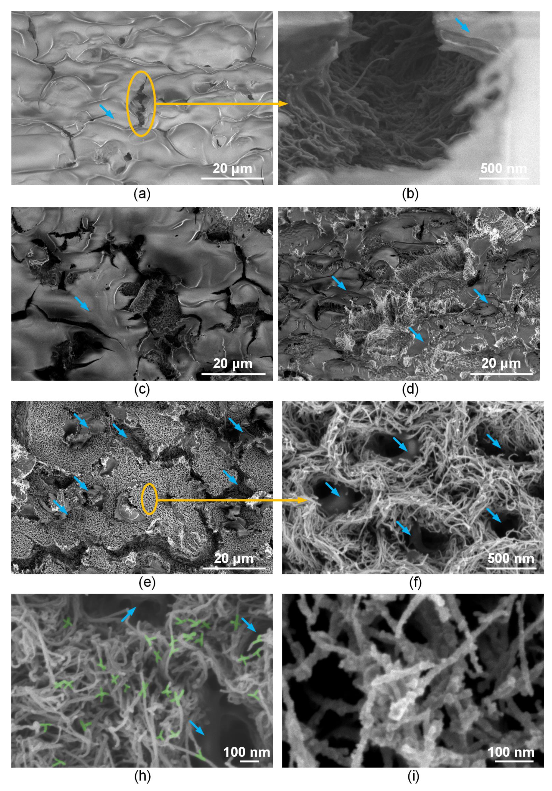 Polymers 14 01866 g004